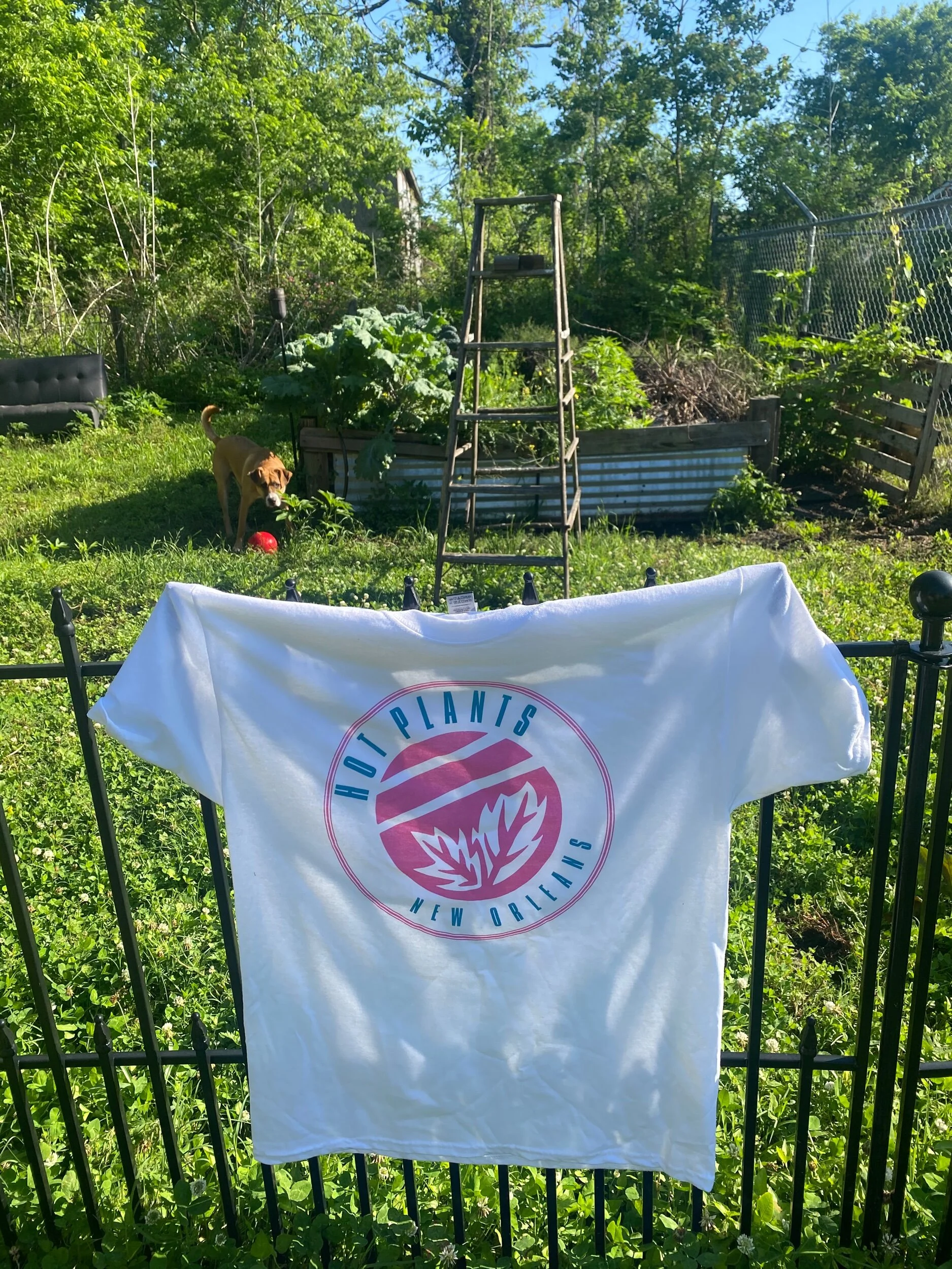 3E3E94EB-FB75-470B-A05D-C13818AC80AC