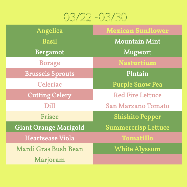 Screenshot 2026-03-22 at 5.00.51 PM.png