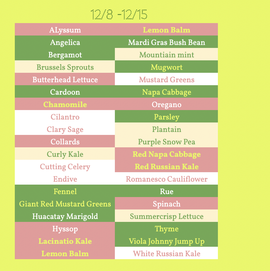 Screenshot 2025-12-07 at 8.09.04 PM.png