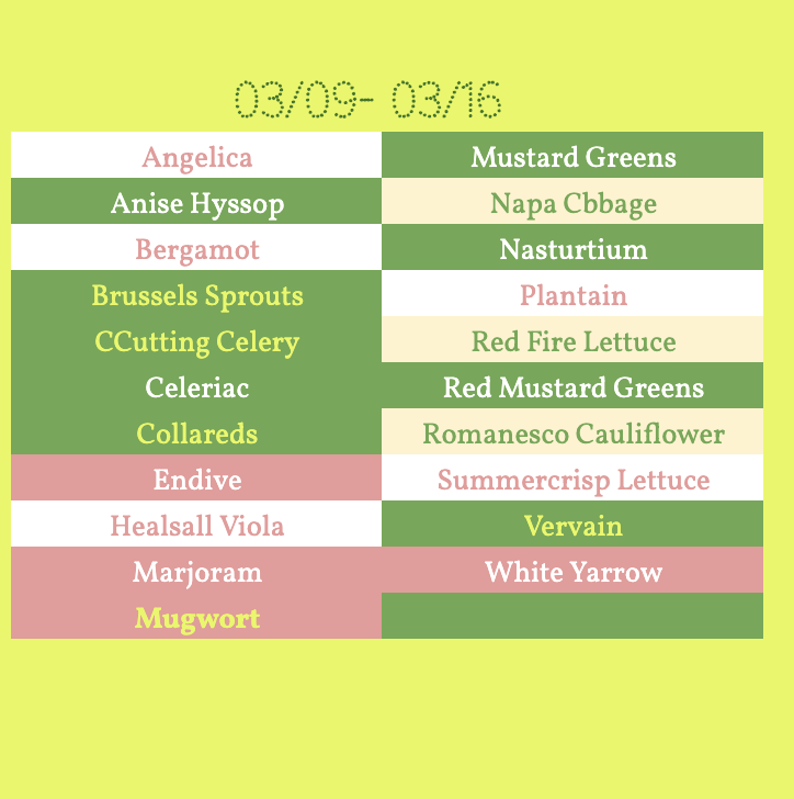 Screenshot 2026-03-06 at 8.37.32 PM.png