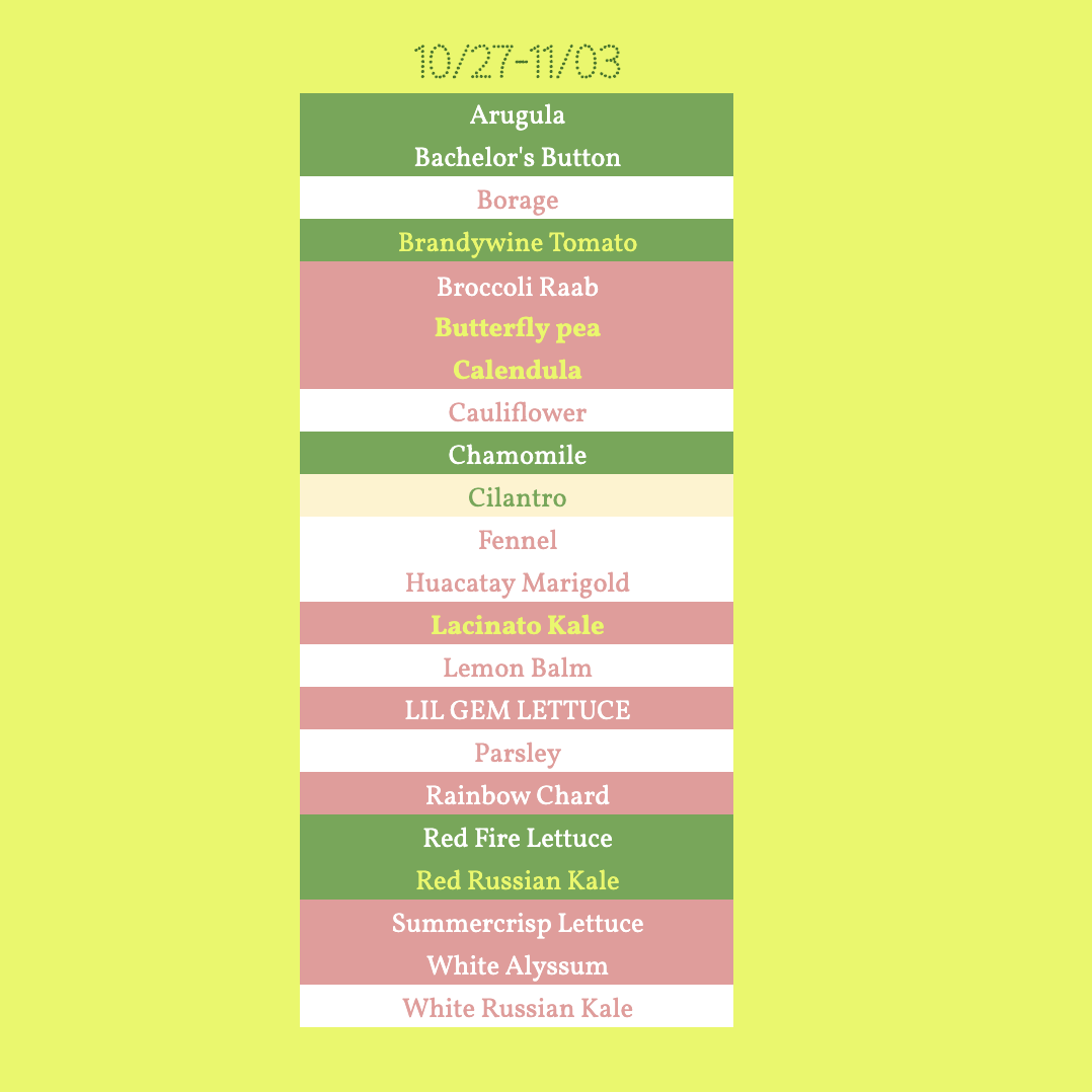 Flat of plants for delivery 11/03