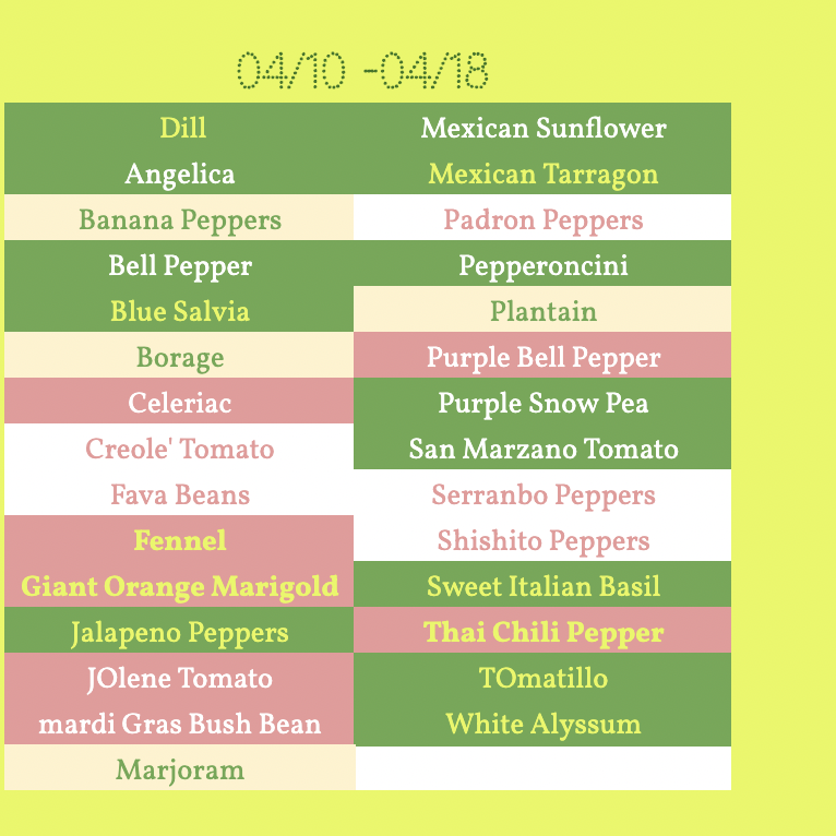 Screenshot 2026-04-10 at 4.31.45 PM.png