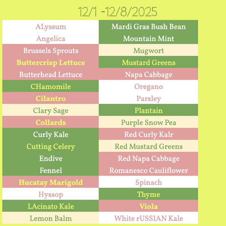 Screenshot 2025-11-30 at 6.21.17 PM.png