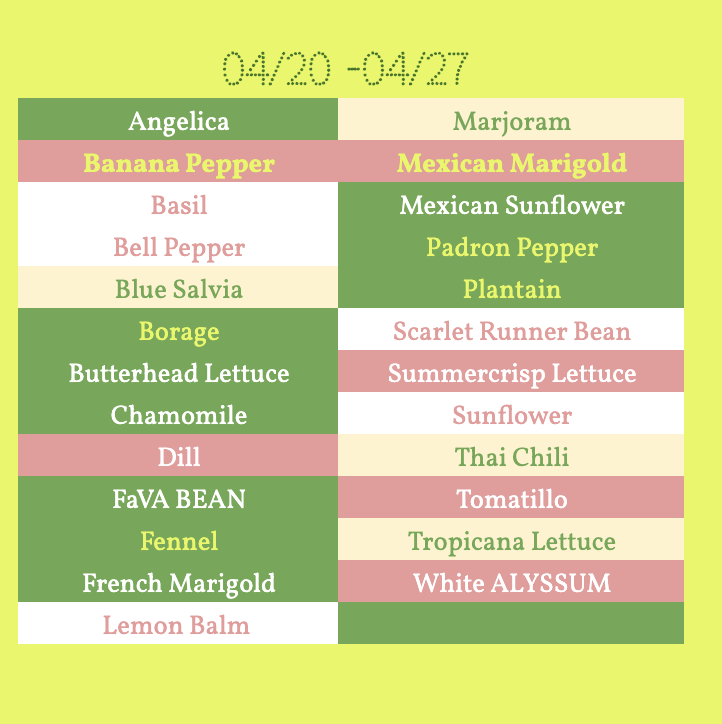 Screenshot 2026-04-20 at 8.31.40 PM.png