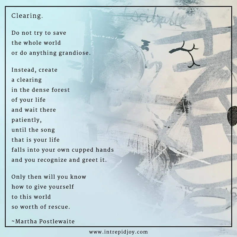 Clearing.jpg