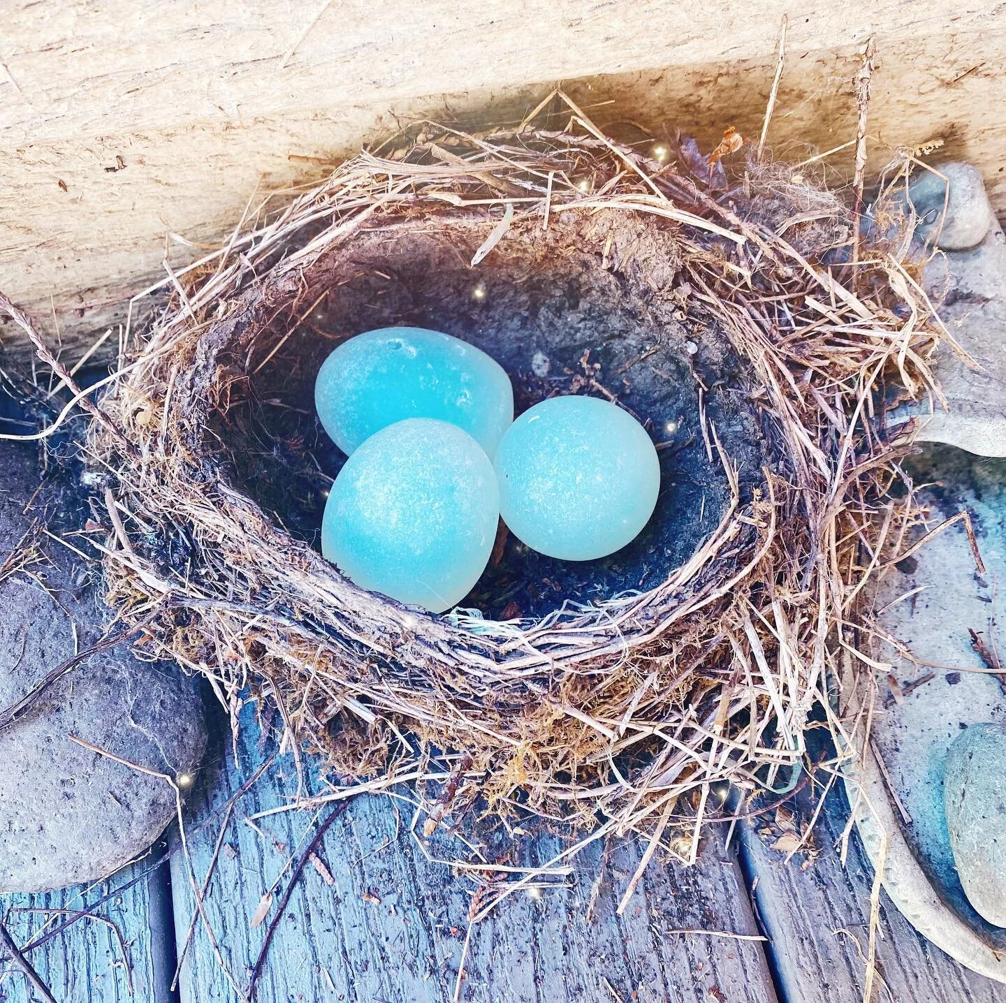 A Hatching Prayer for You
A sacred nest for all the things you hold tenuous and tender that are longing to embody. For the new parts, the hopeful parts and for all that you are tending to bring these dreams forward. May you know the potency, possibil