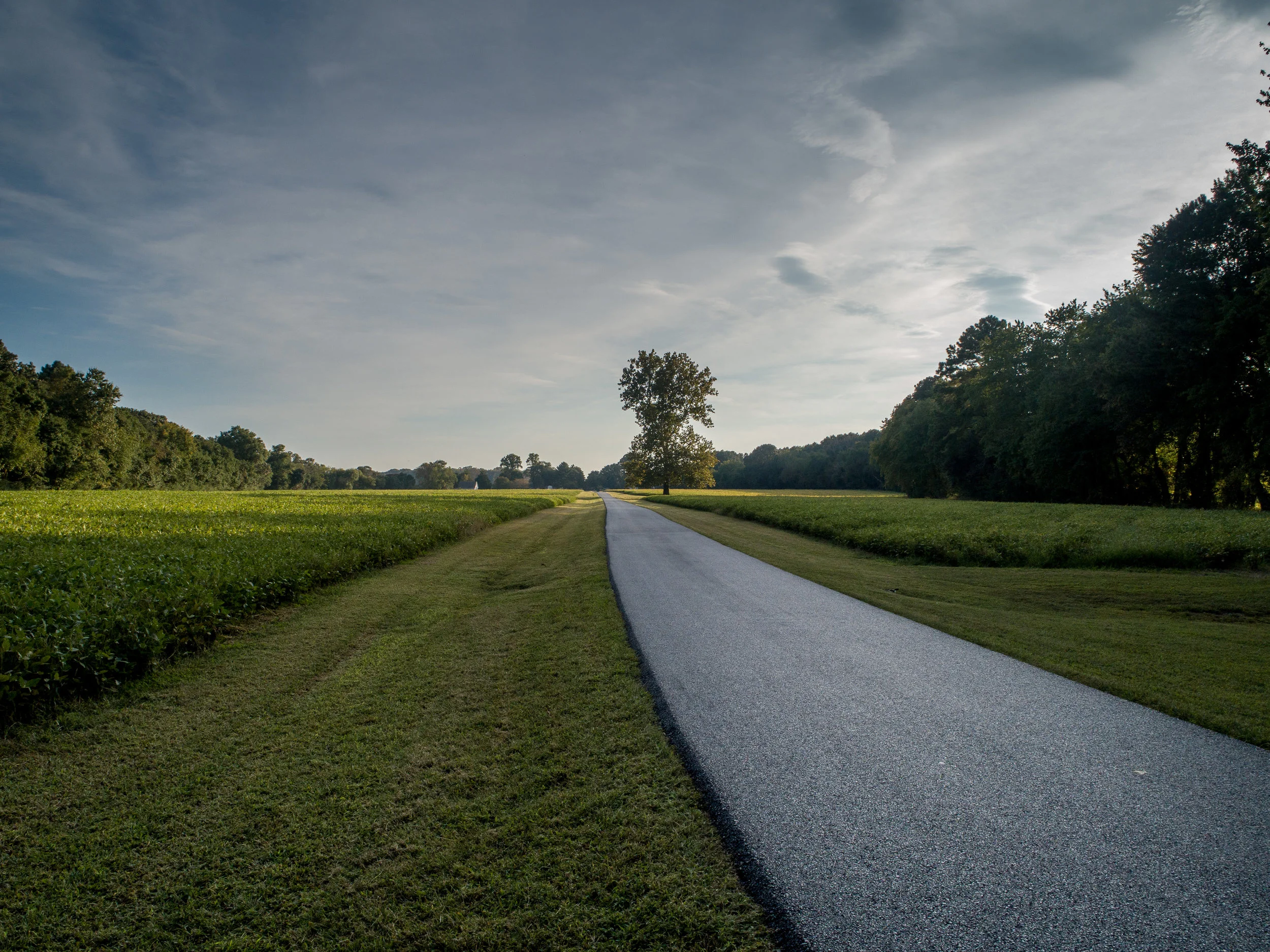 Private Driveway, Easton Maryland