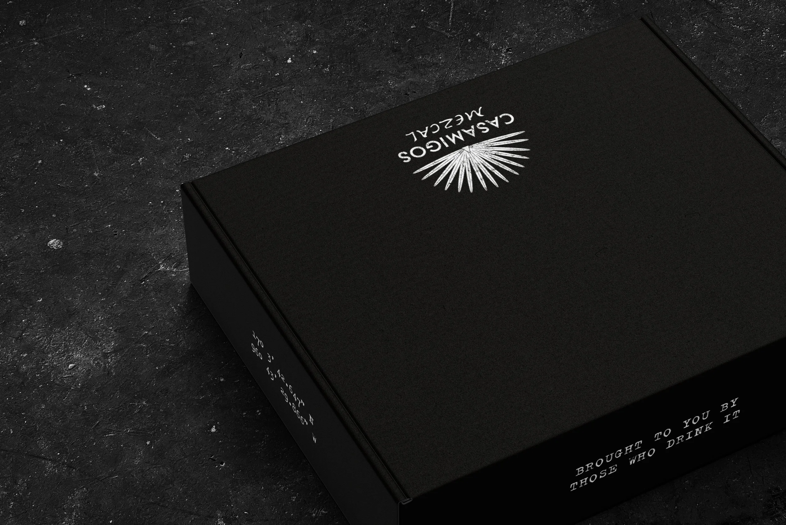 1117_INFLUENCER+BOX_MOCKUP_BACK.jpg