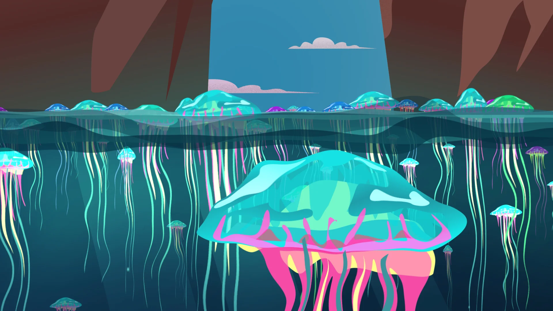 jellies2.jpg