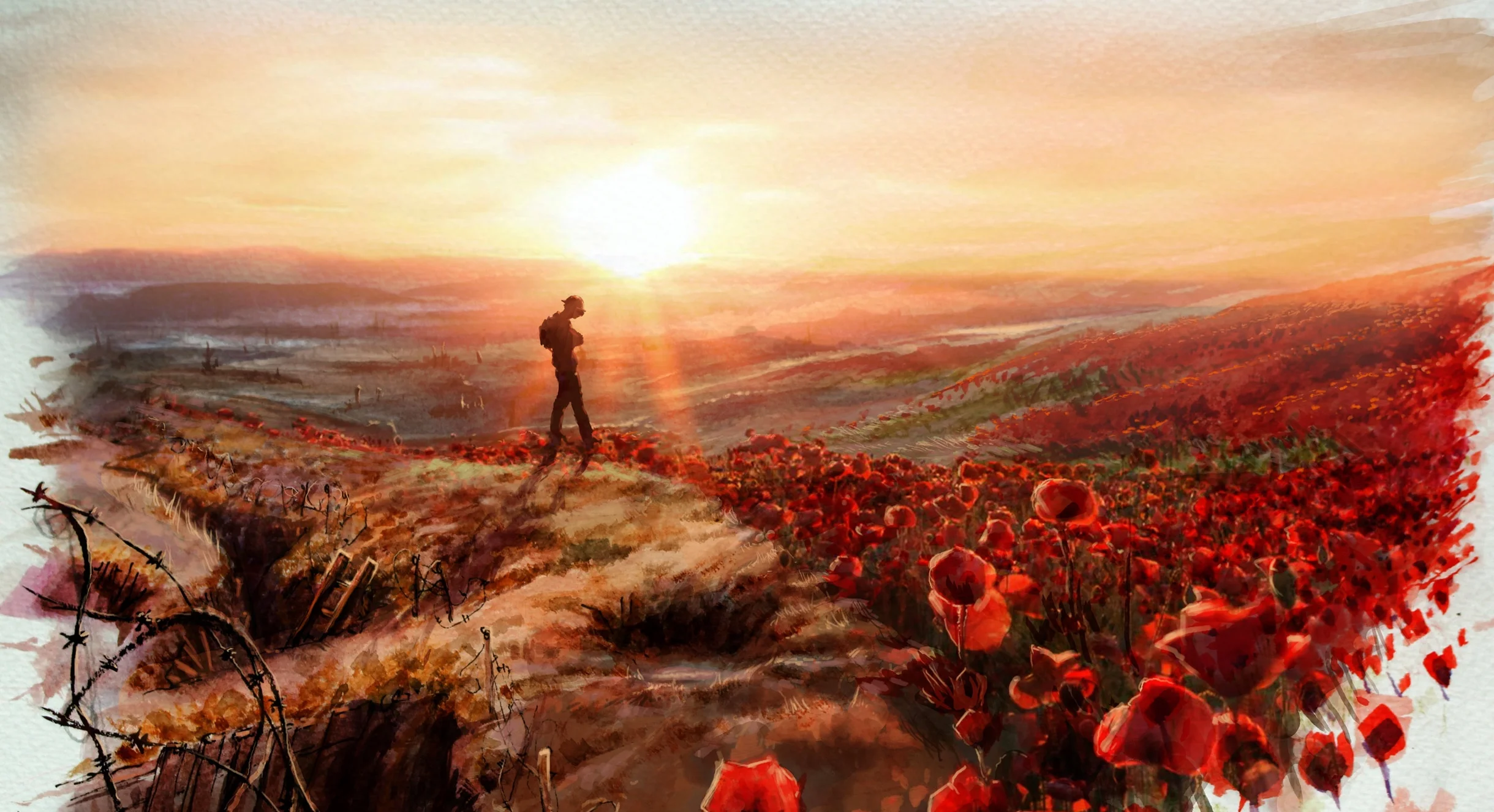 poppyfield-web.jpg