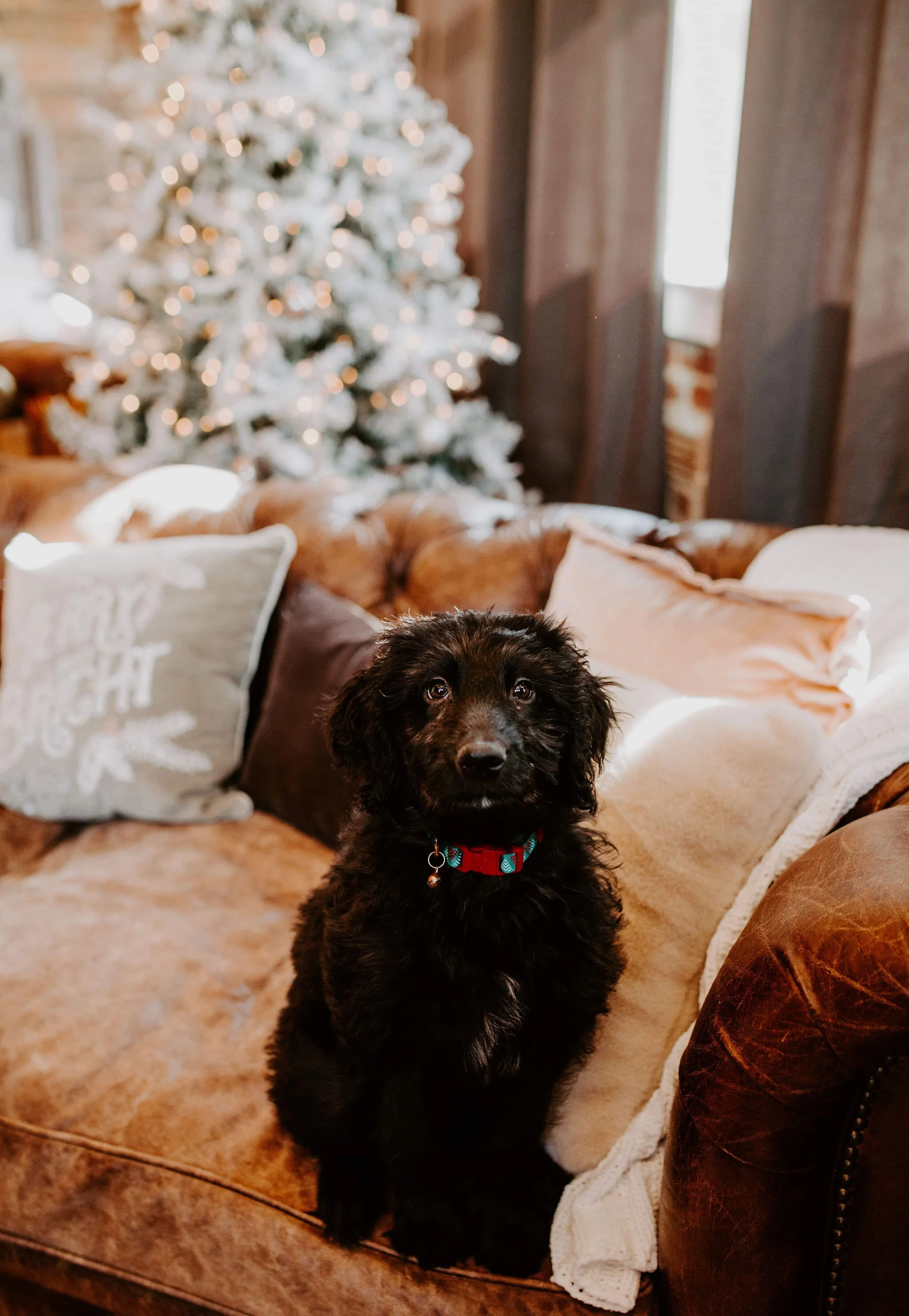 Photography by Sarah Graybeal Photography 