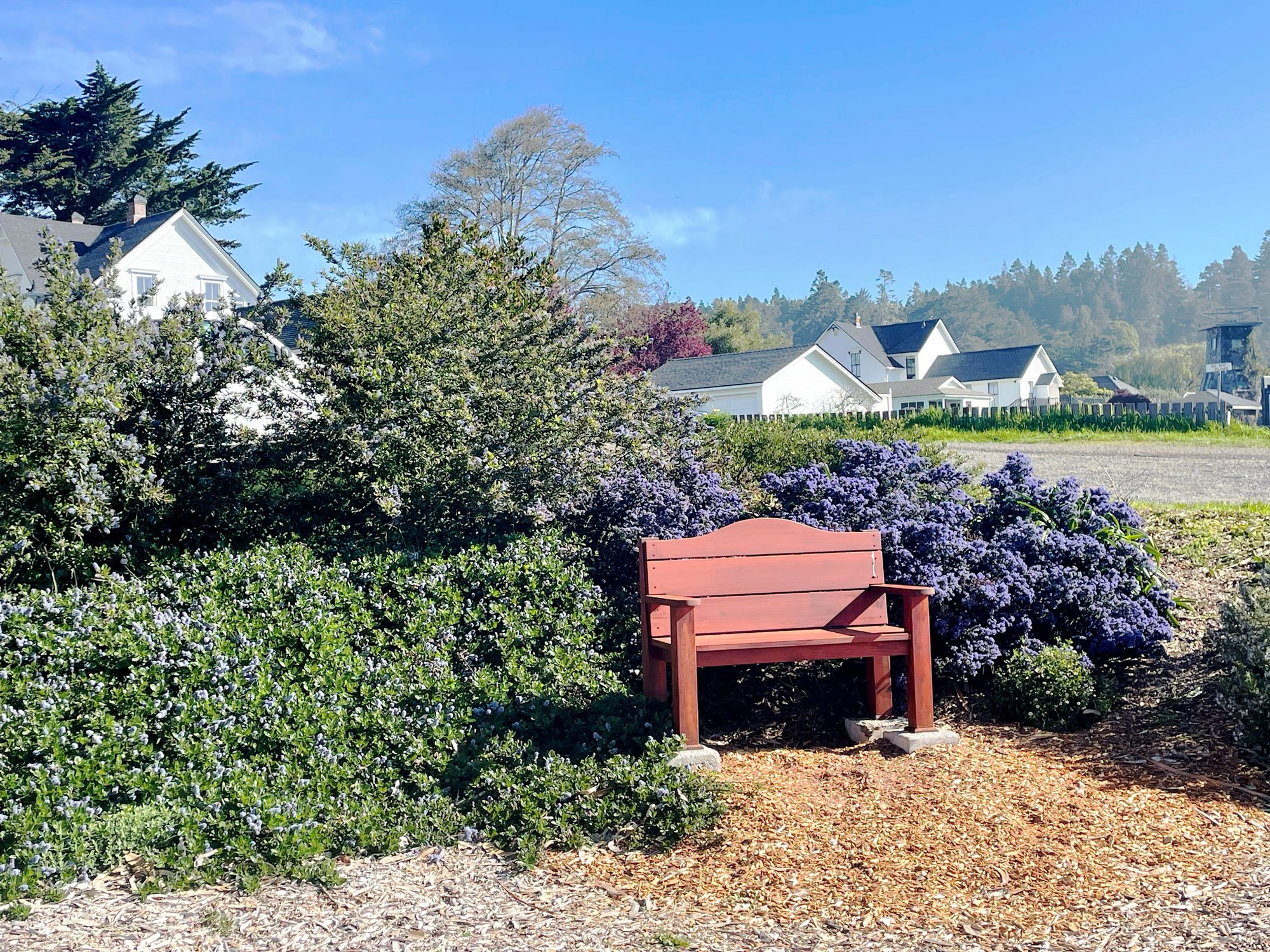 Rotary Park Seating