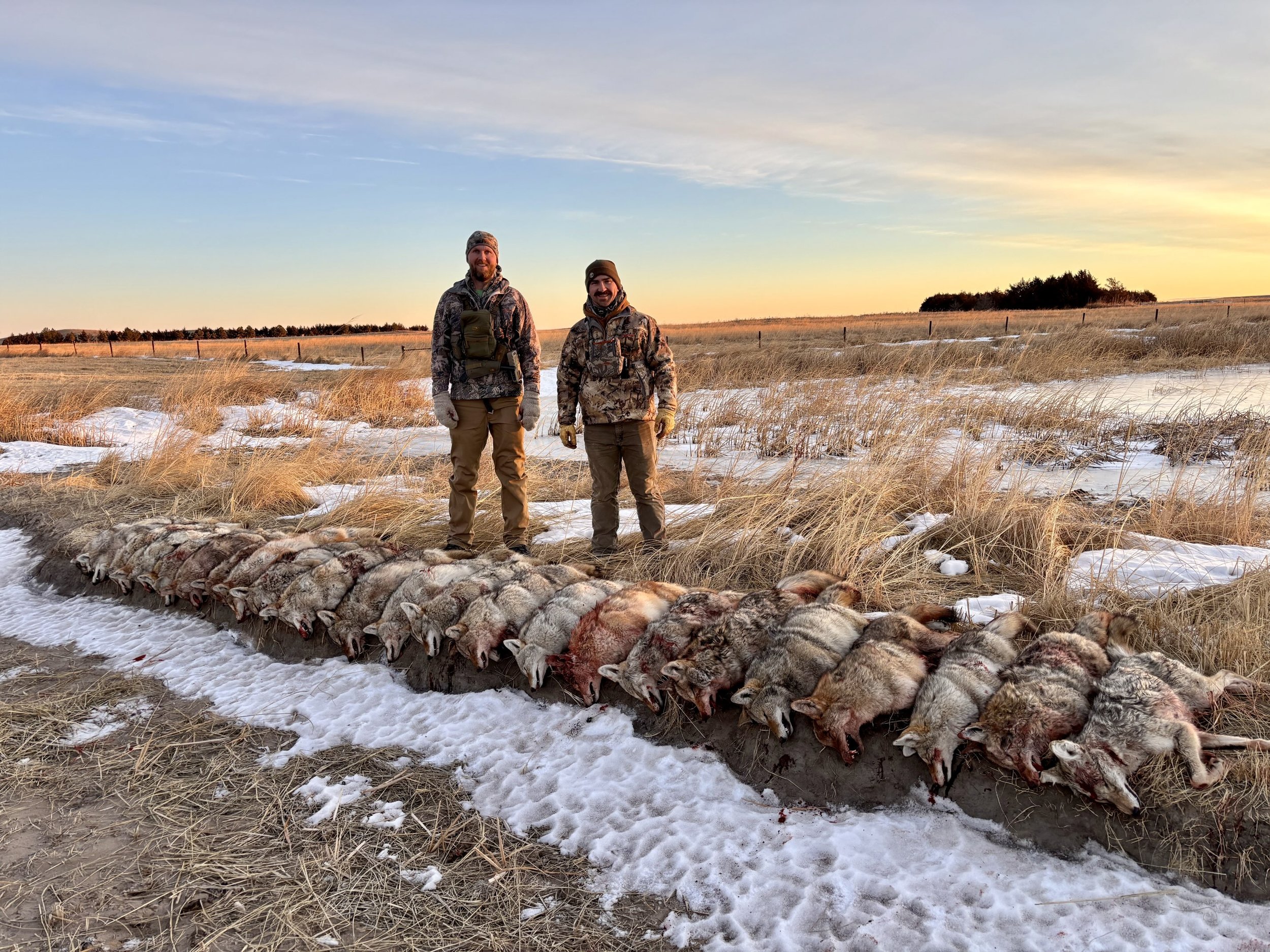 How to Choose a Thermal Scope for Hog and Predator Hunting