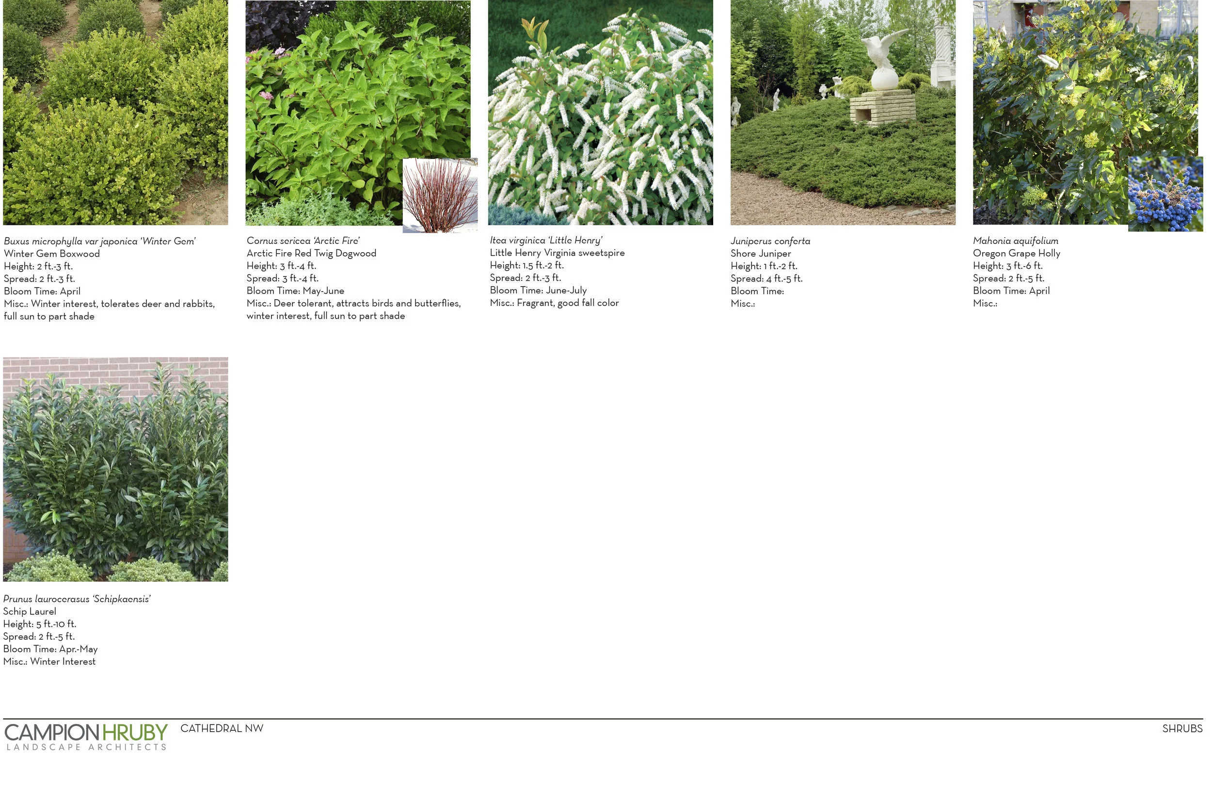 Cathedral NW_03.29.2019_Marketing Imagery_Plant Imagery-6.jpg