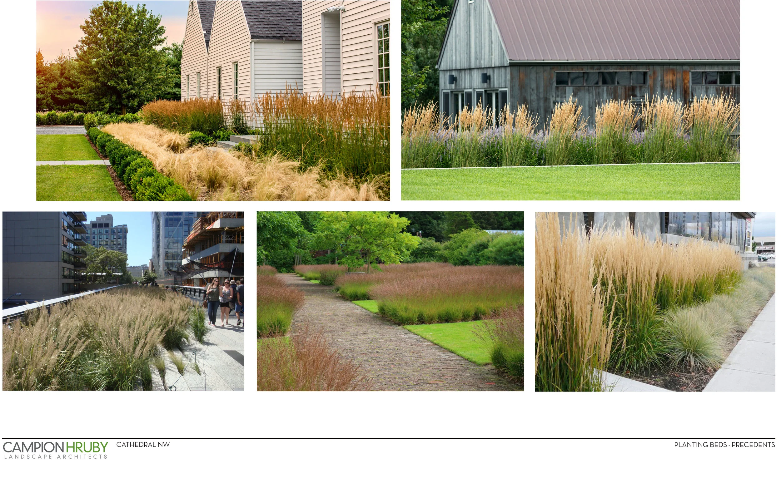 Cathedral NW_03.29.2019_Marketing Imagery_Plant Imagery-13.jpg