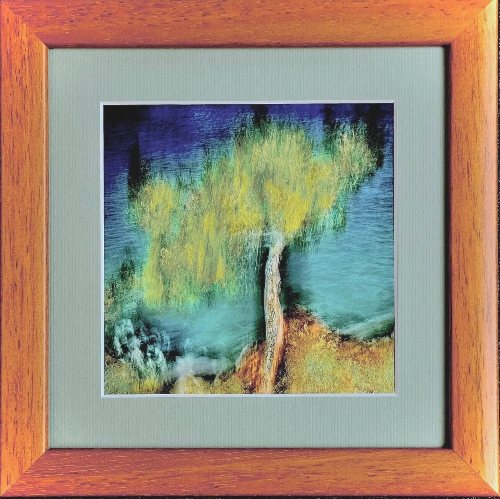 Zen Tree (2024)