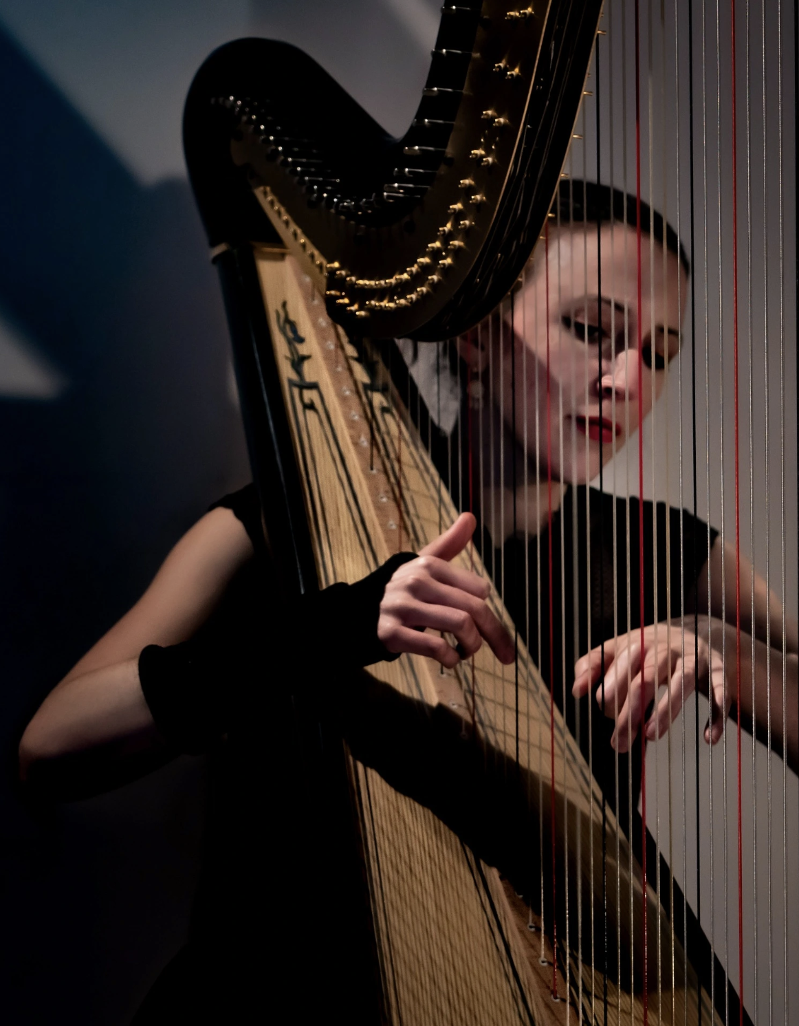 Screenshot 2025-11-14 at 23.00.17.png