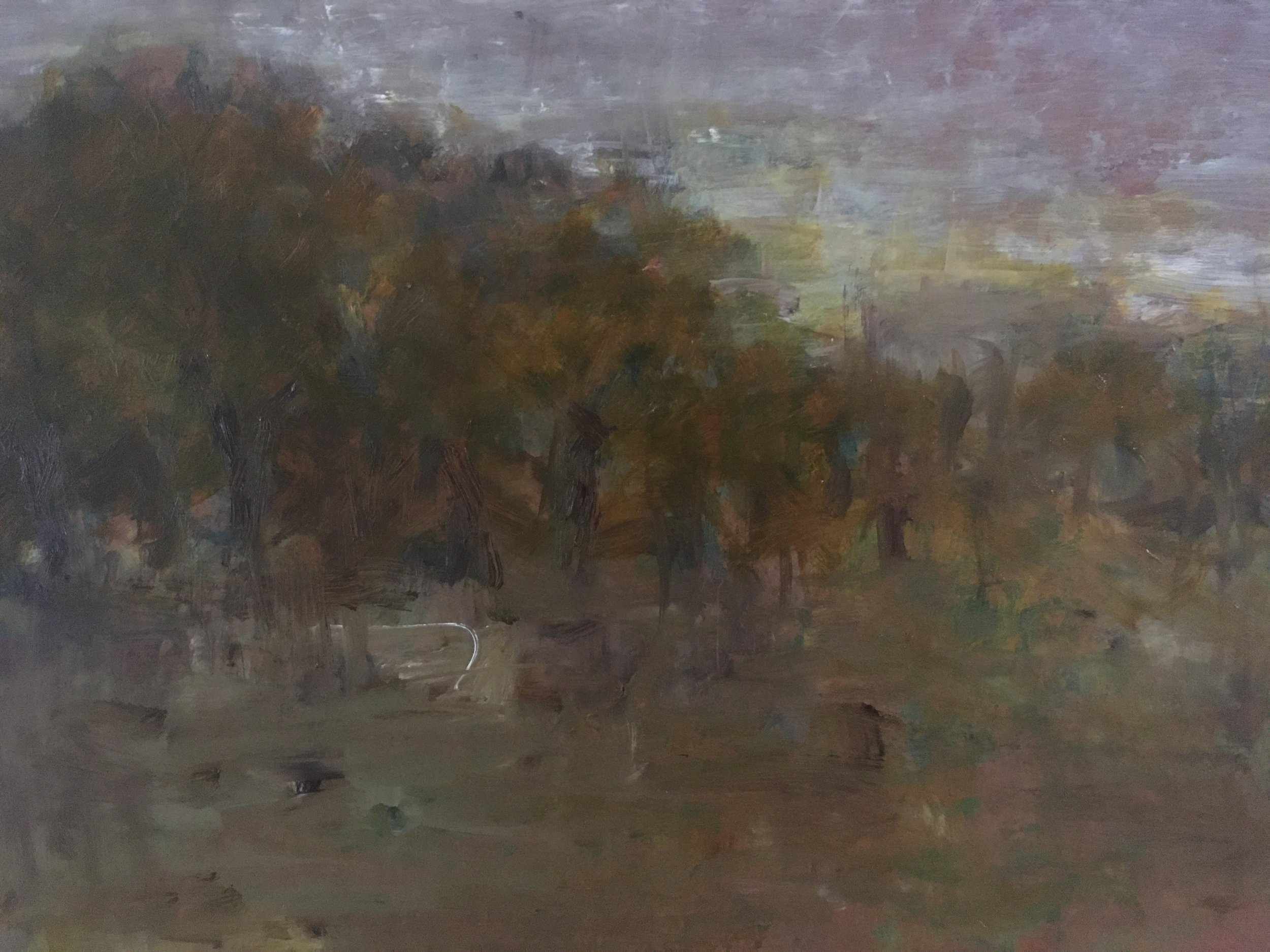 Trees in Evening Light