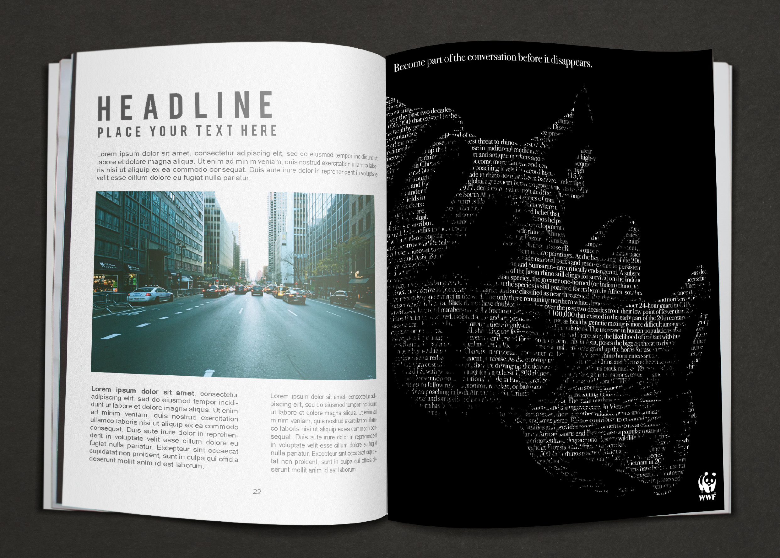 Screen Shot 2019-02-21 at 7.14.24 PM.png