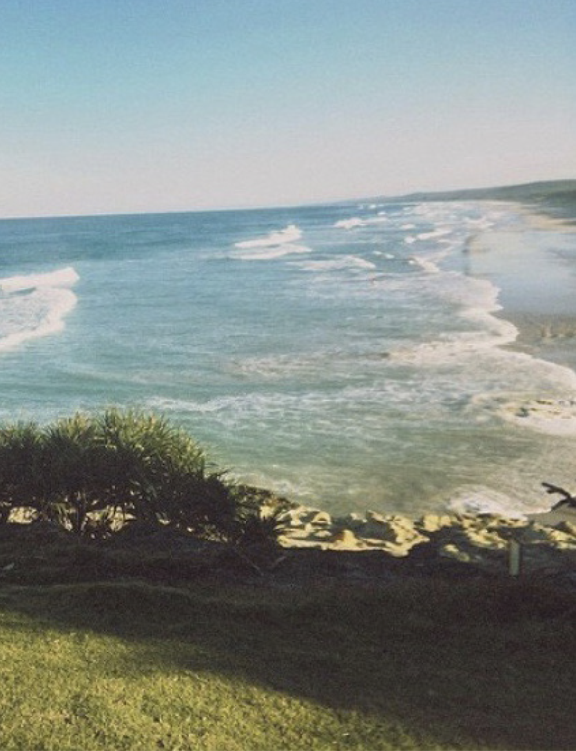 Screen Shot 2019-04-08 at 8.23.08 PM.png