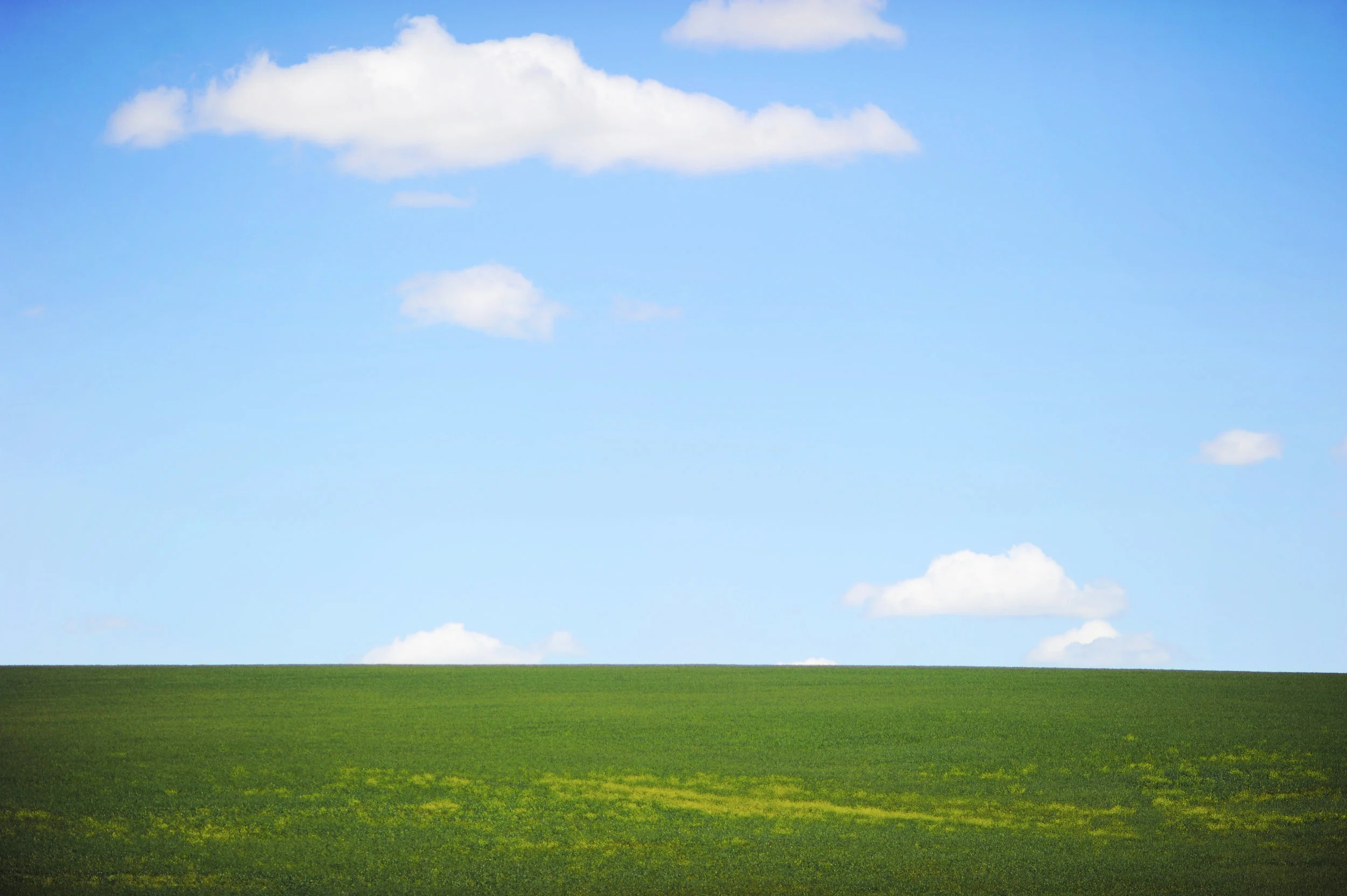 Other Topics Include...