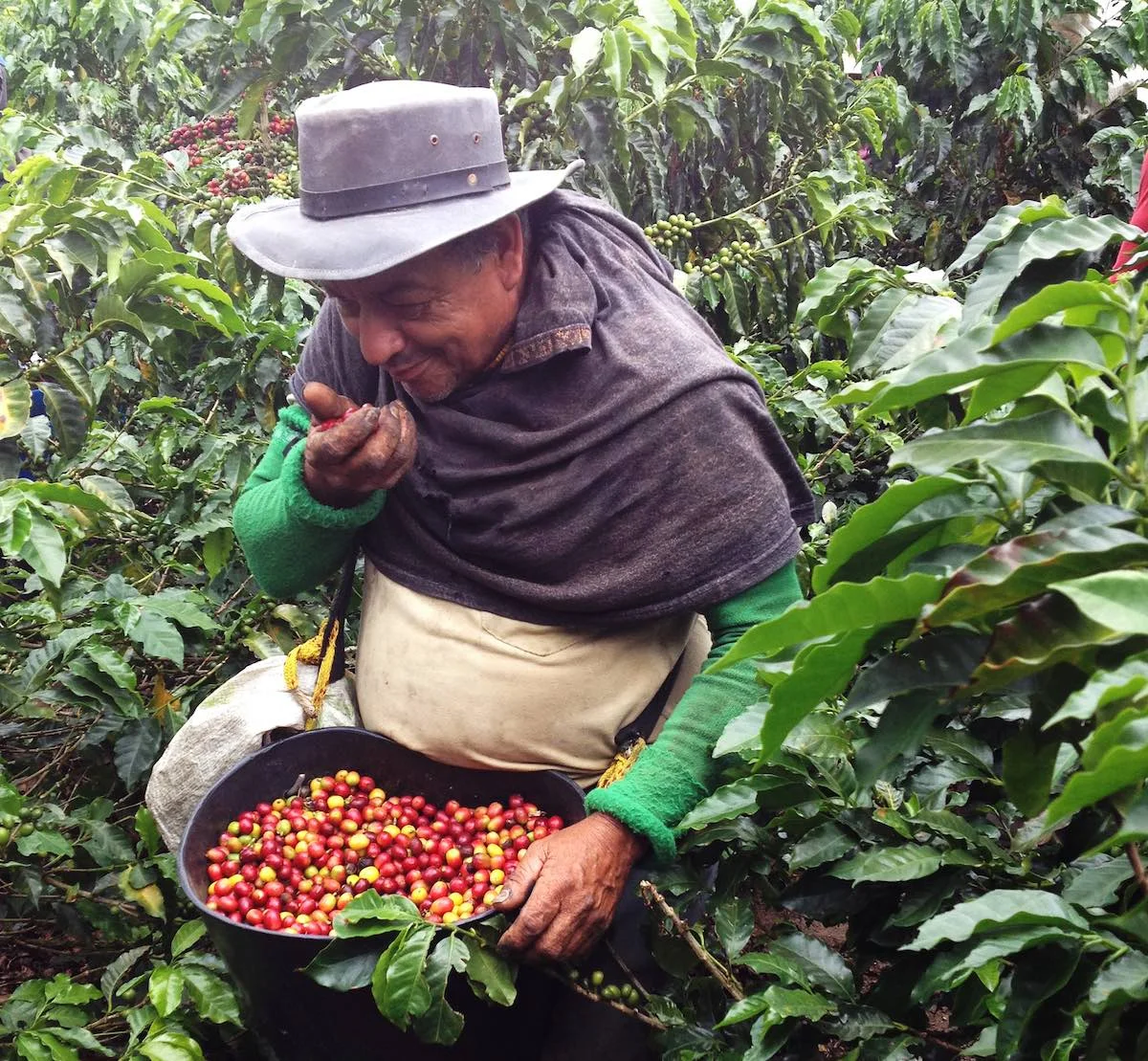 Hammer Colombia will take place in Colombia’s “Coffee Triangle”