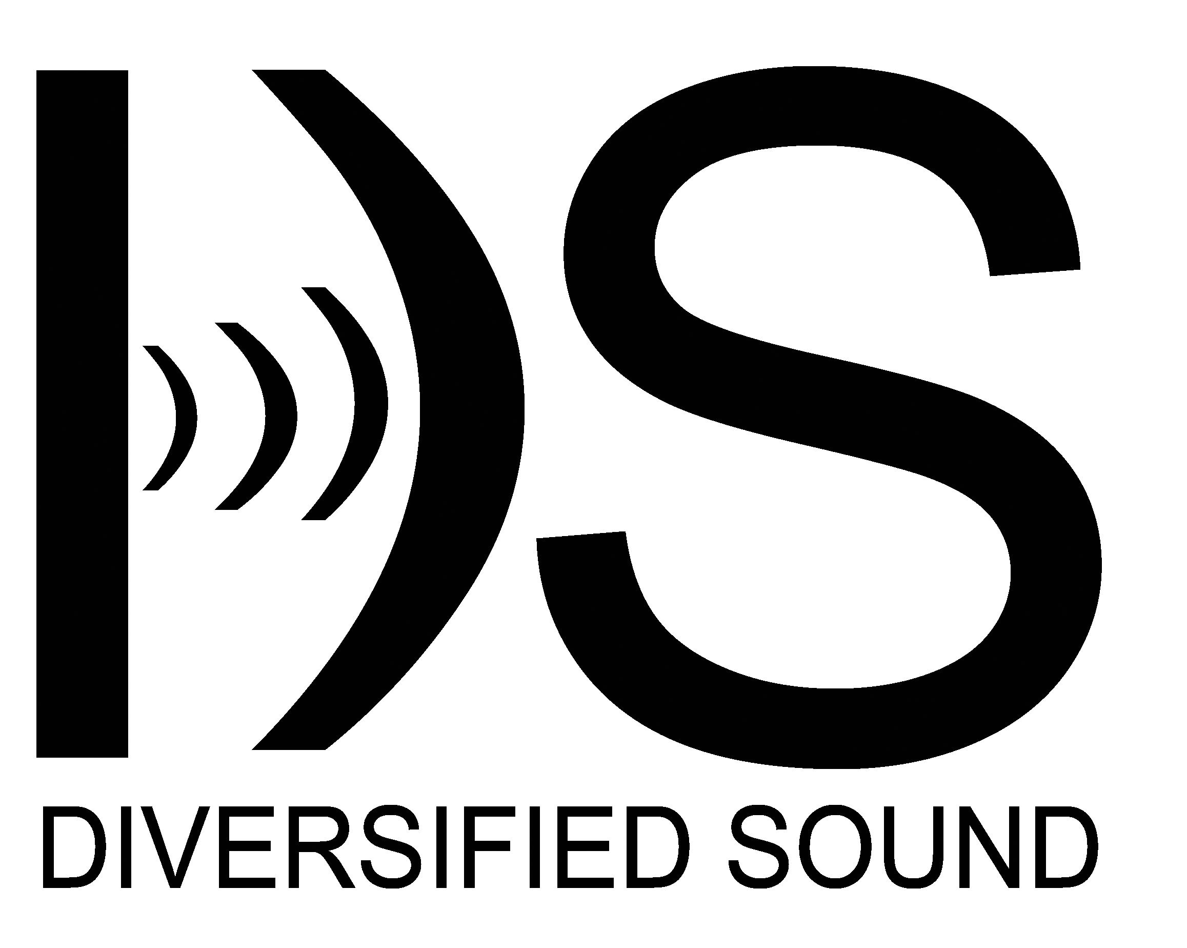 logo ds.png