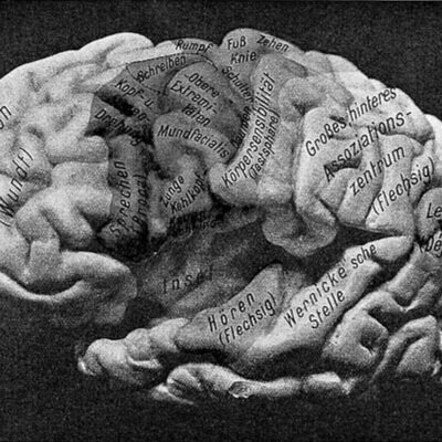 This is Your Brain on Brains (ft. Dr. Paula Croxson, PhD) – Live(streamed) at Caveat