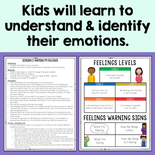 Emotional Regulation No-Prep Small Group Plan