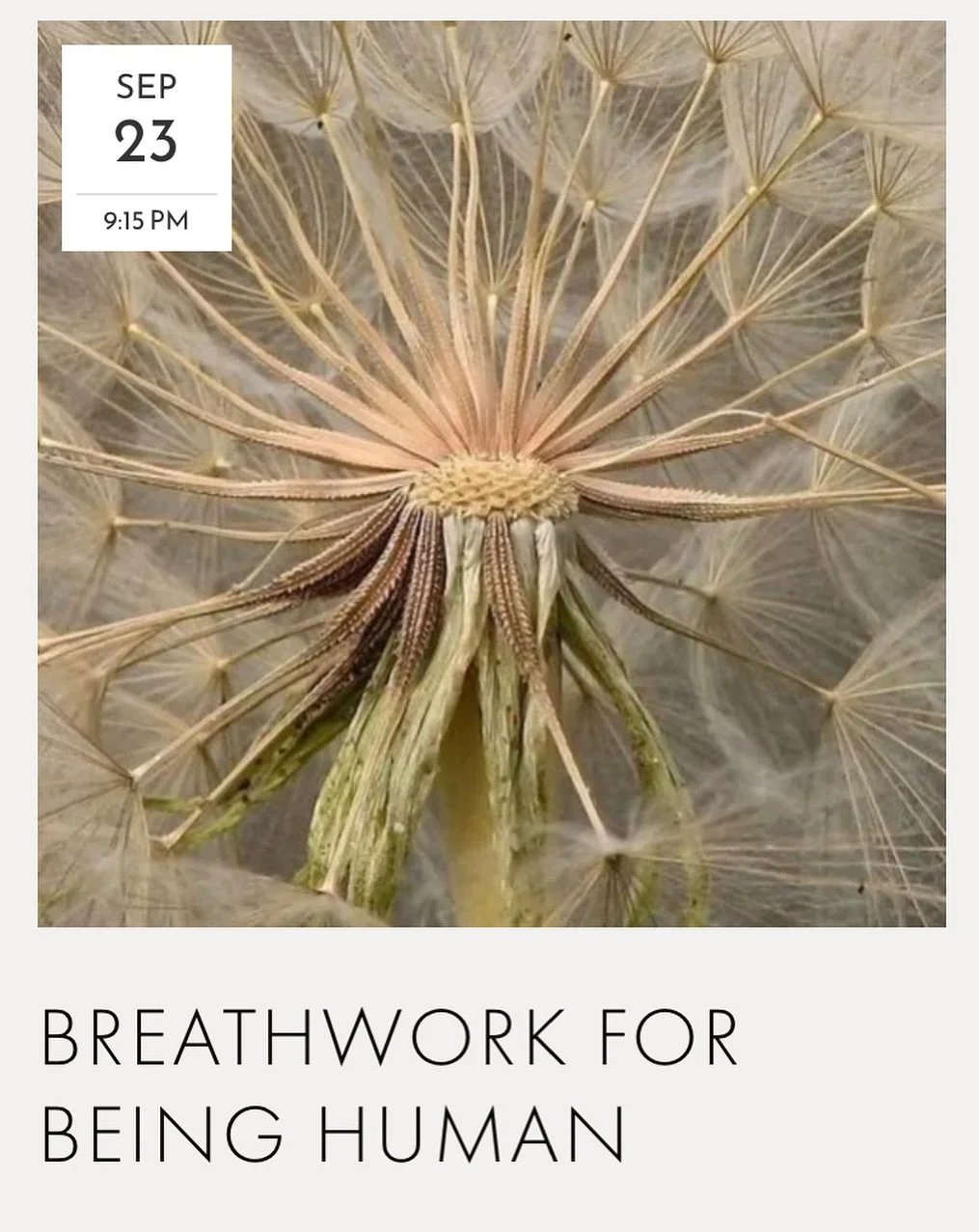 Breathwork for Being Human is a container to hold the &lsquo;both and&rsquo; of being a human on this planet at this time, the grief and joy, the difficulty and beauty, and all the spaces and places in between. Come exactly as you are, bring whatever