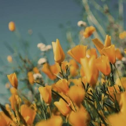 BREATHWORK FOR SELF TRUST