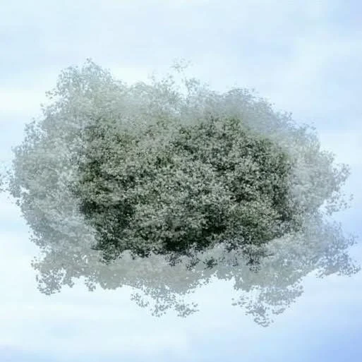 NEW MOON / NEW YEAR BREATHWORK