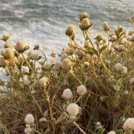 MEET YOURSELF IN BREATH