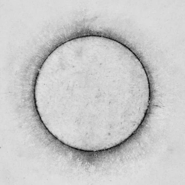 BREATHWORK FOR BEING HUMAN