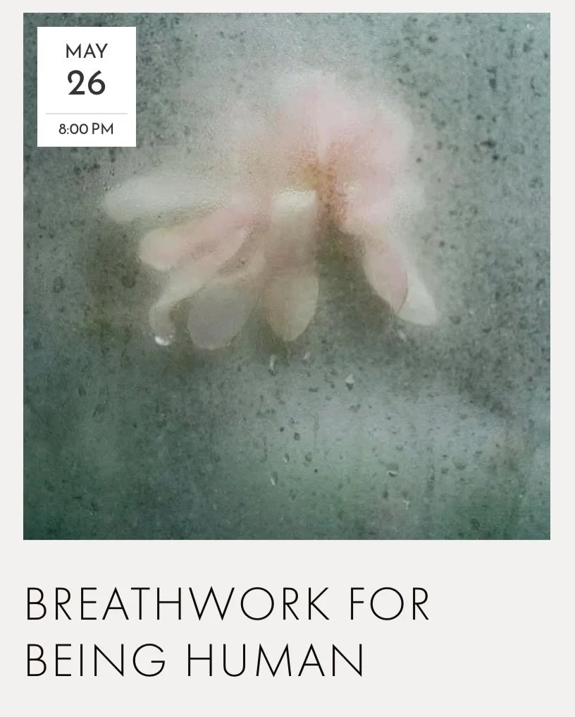 Breathwork for Being Human is a container to hold the &lsquo;both and&rsquo; of being a human on this planet at this time, the grief and joy, the difficulty and beauty, and all the spaces and places in between. Come exactly as you are, bring whatever