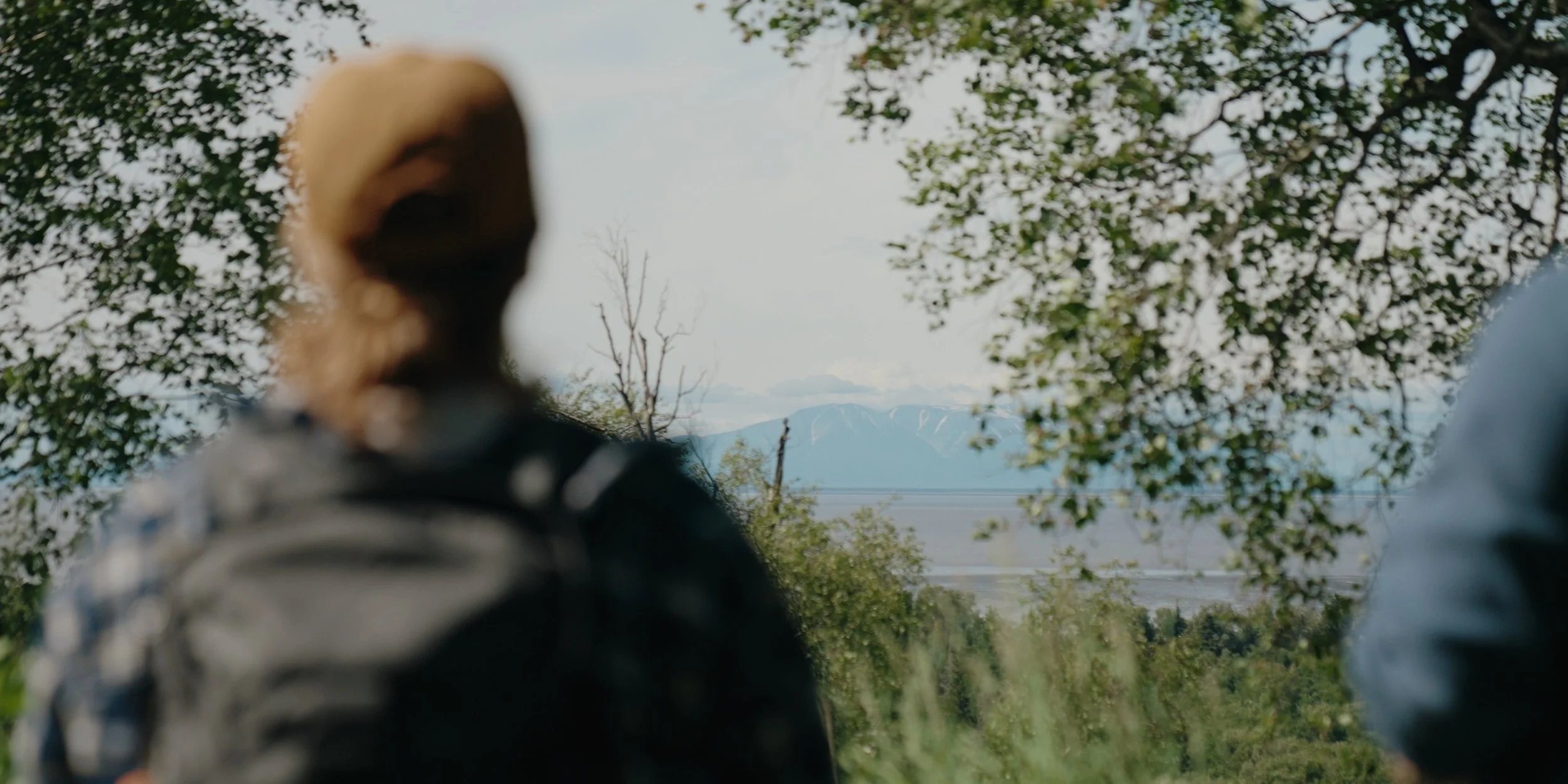 Still 2025-07-01 220330_1.73.1.jpeg