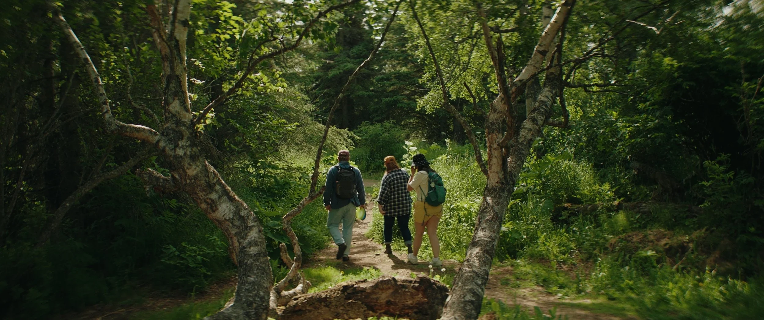 Still 2025-07-01 235423_1.26.1.JPEG