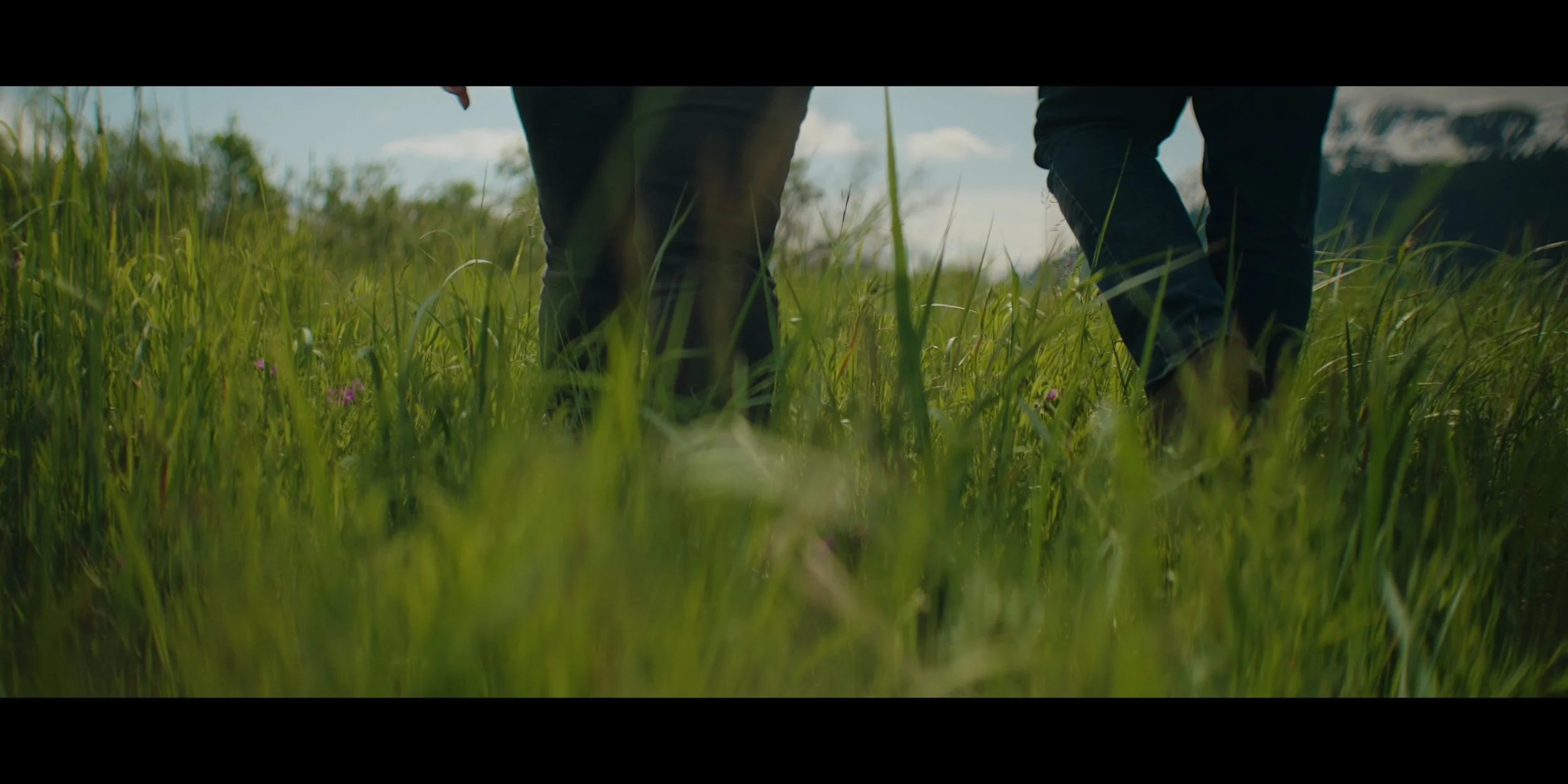 Still 2025-07-08 170449_1.441.1.jpg