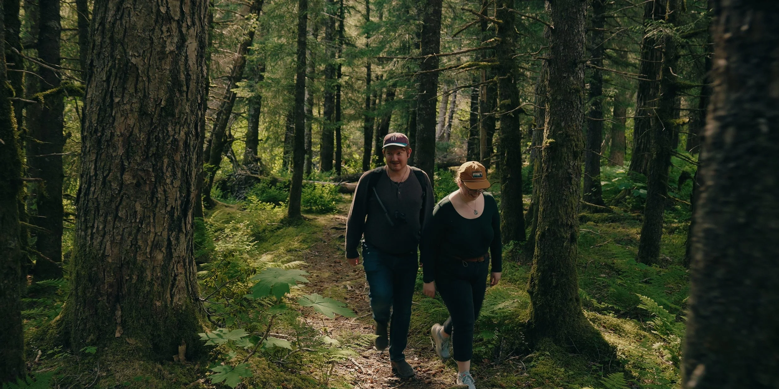 Still 2025-07-08 170449_1.446.1.jpg