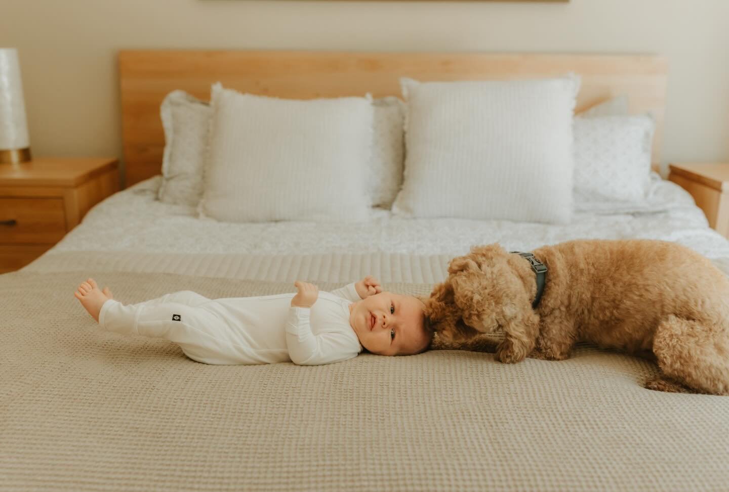 There is nothing sweeter than those early newborn days 🤍 I also love when families include their fur babies in their sessions as well 🐶

San Diego Newborn Photographer 
San Diego Photographer
San Diego Family Photographer 

#sdphotographer #sandieg