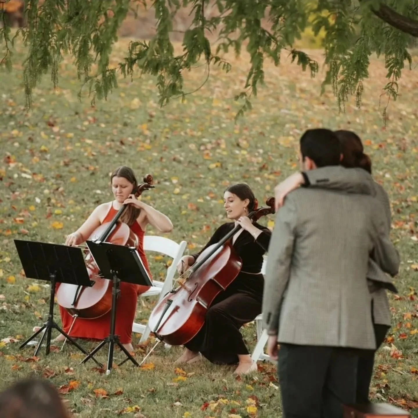 Thanks for following along for my solo cello + electronic offerings!

Looking for a string quartet 👀  Luckily I am the cellist of the esteemed @kennedyquartet -- head on over there to make all of your wildest string quartet dreams come true 💙💙

He