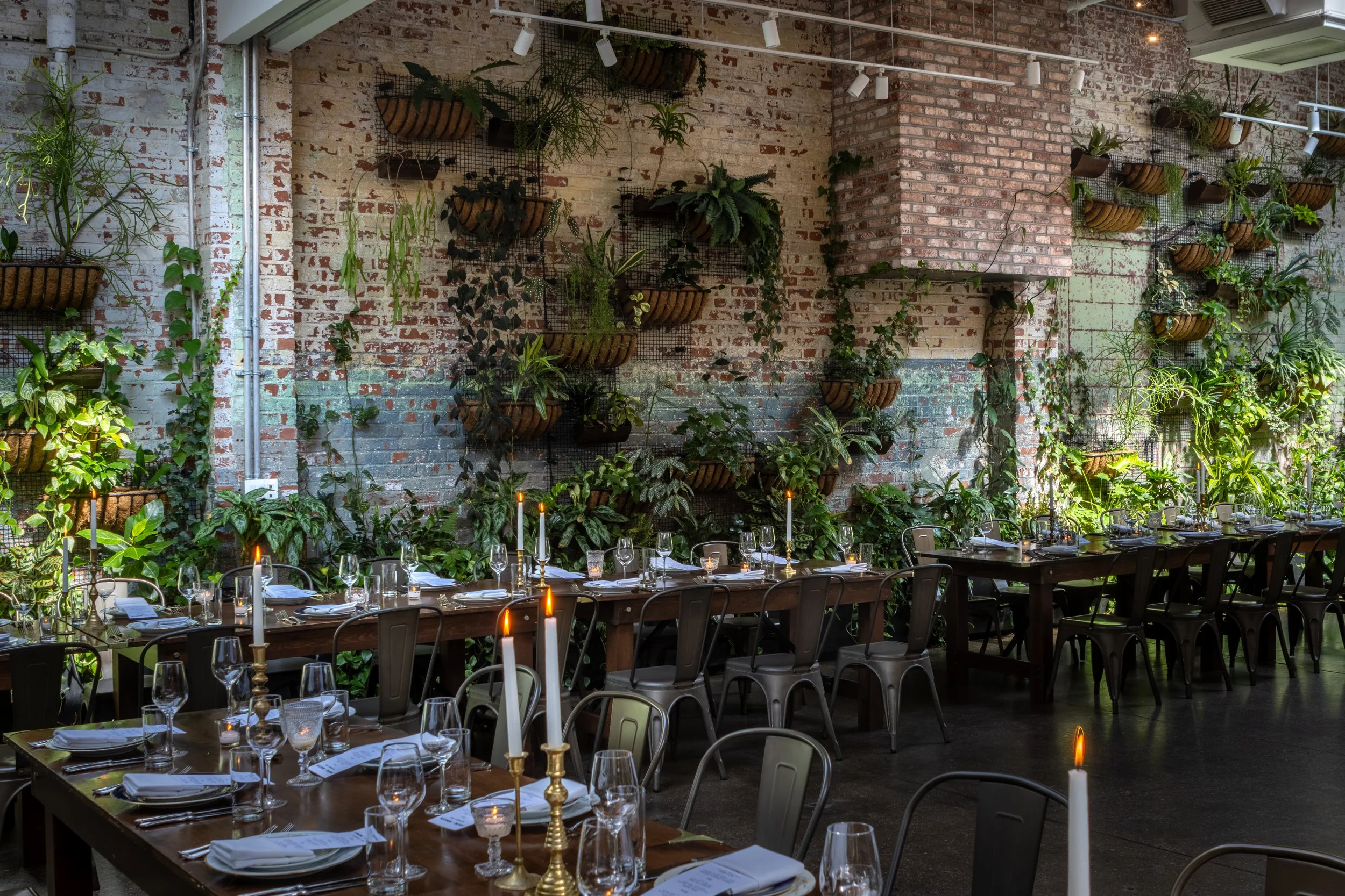 Brooklyn Winery's signature plant wall, an exposed brick wall covered in hanging plants, with tables in front of it set for a private event.