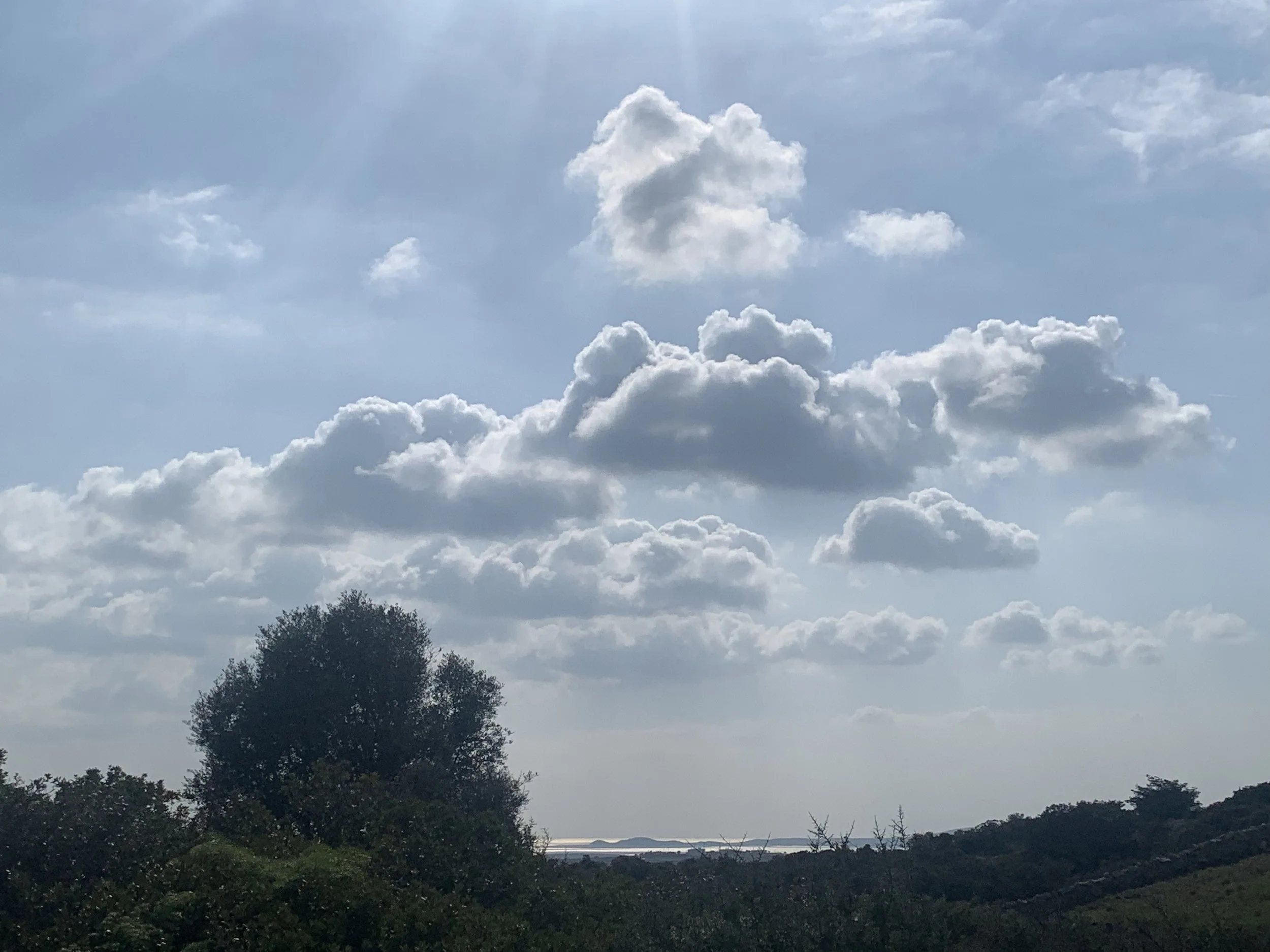 EC6D6B4D-42FF-4FCB-A302-8AA7B23228B1.jpeg