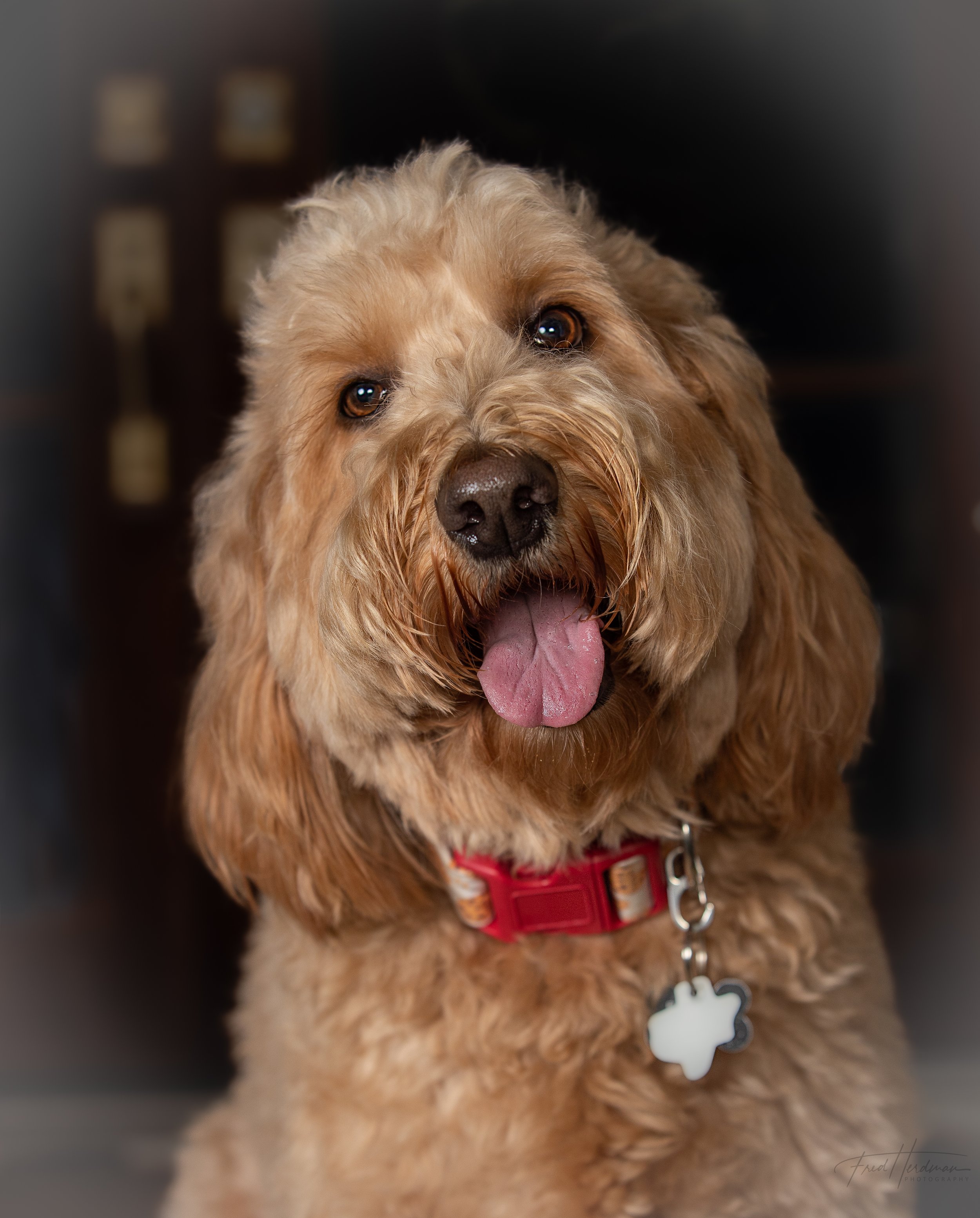 AI9I8120-Edit-3.JPG