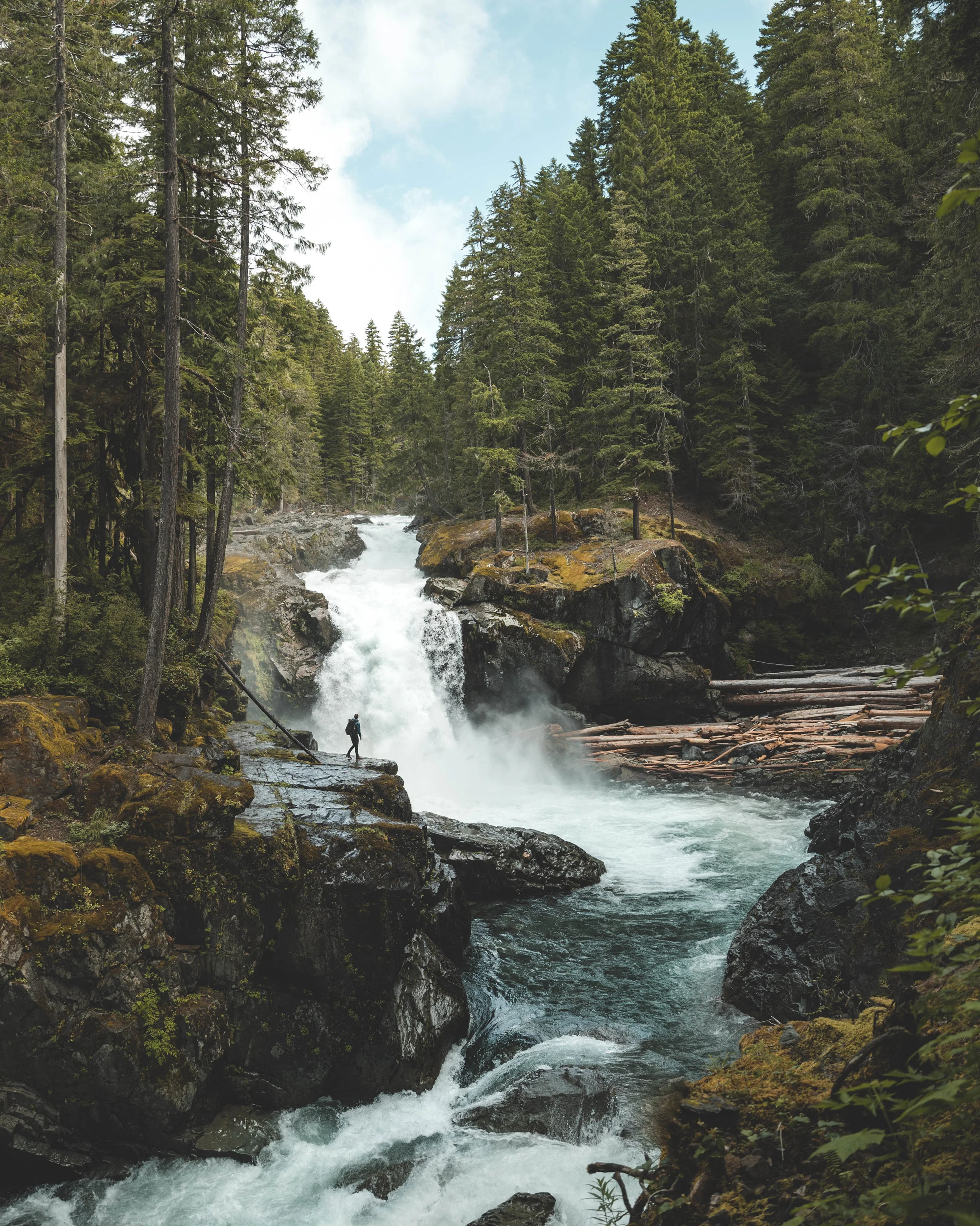 website fall back.JPG