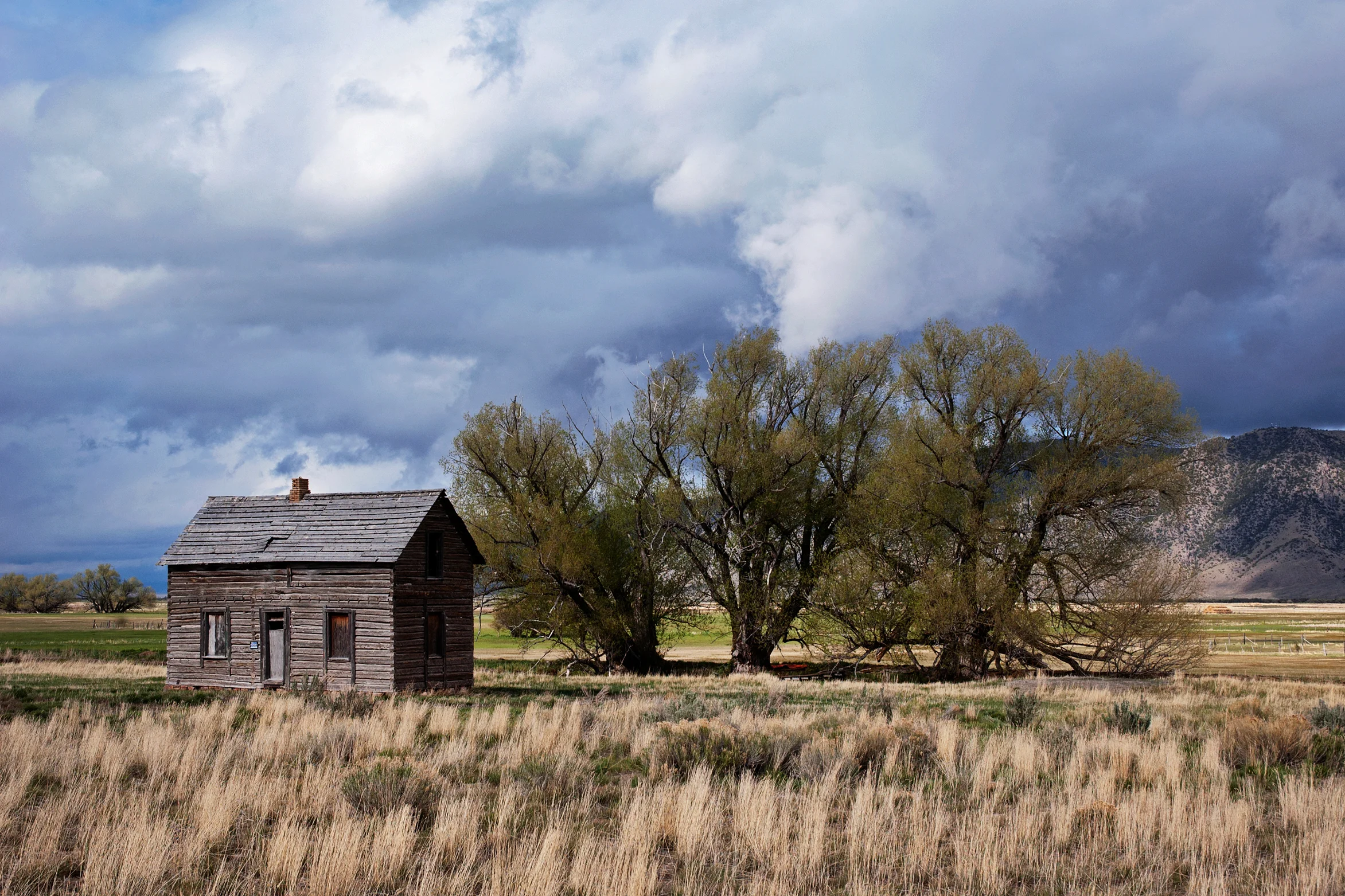 Utah_Roadside.jpg