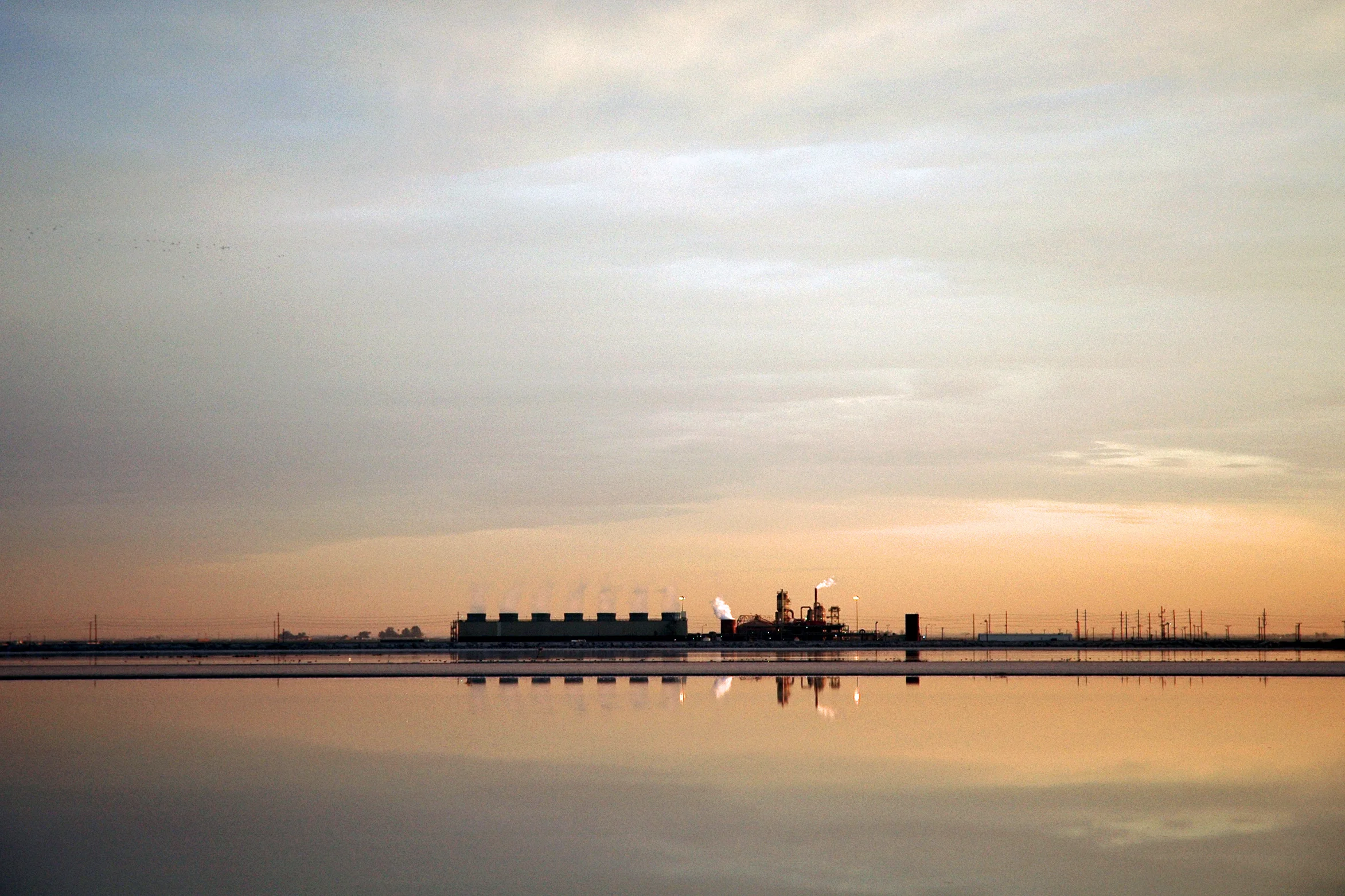 Salton_Plant.jpg