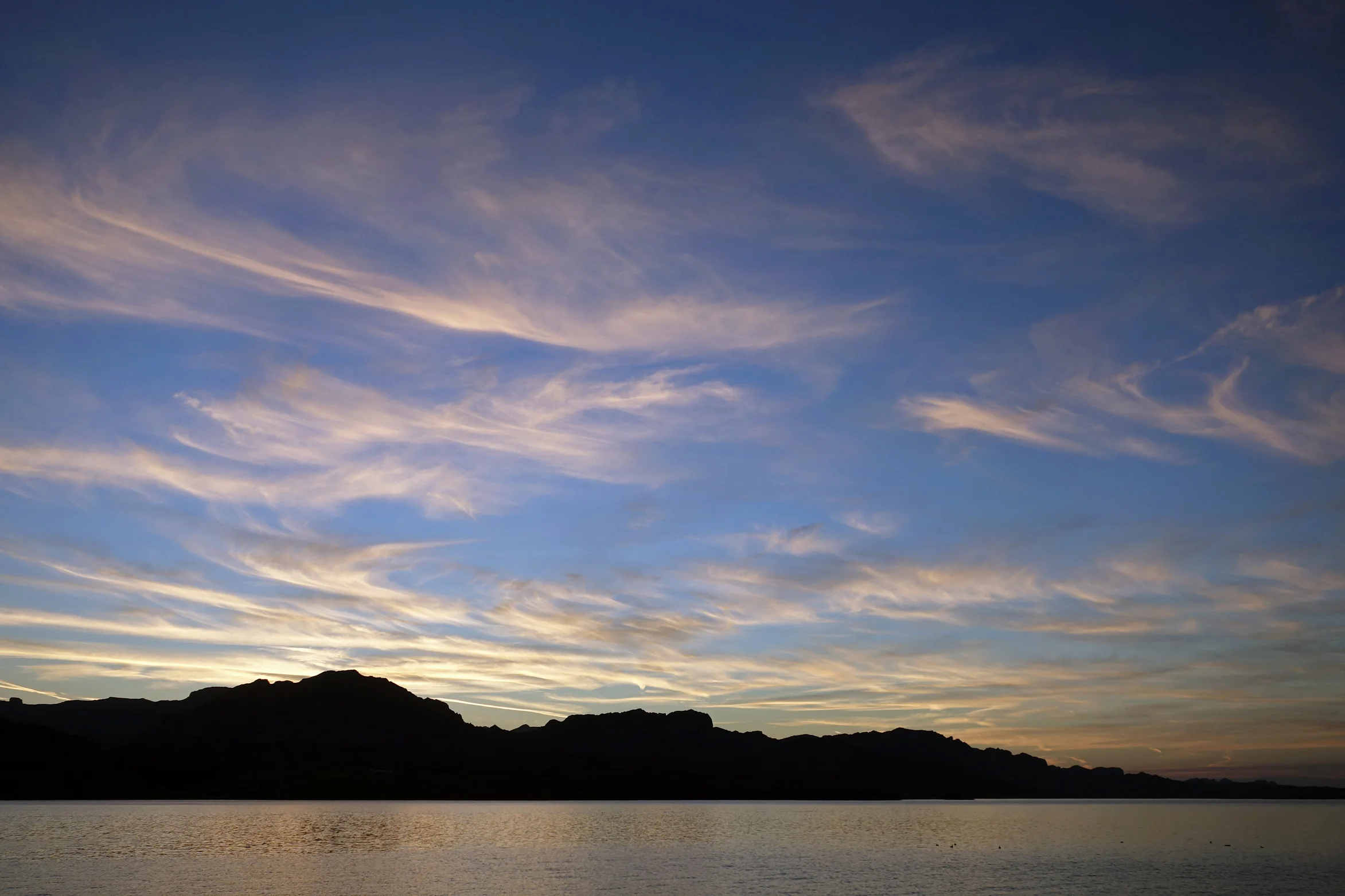 Havasu.jpg