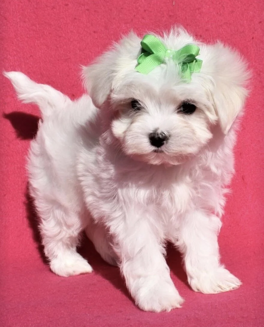 The first time I saw her little face!