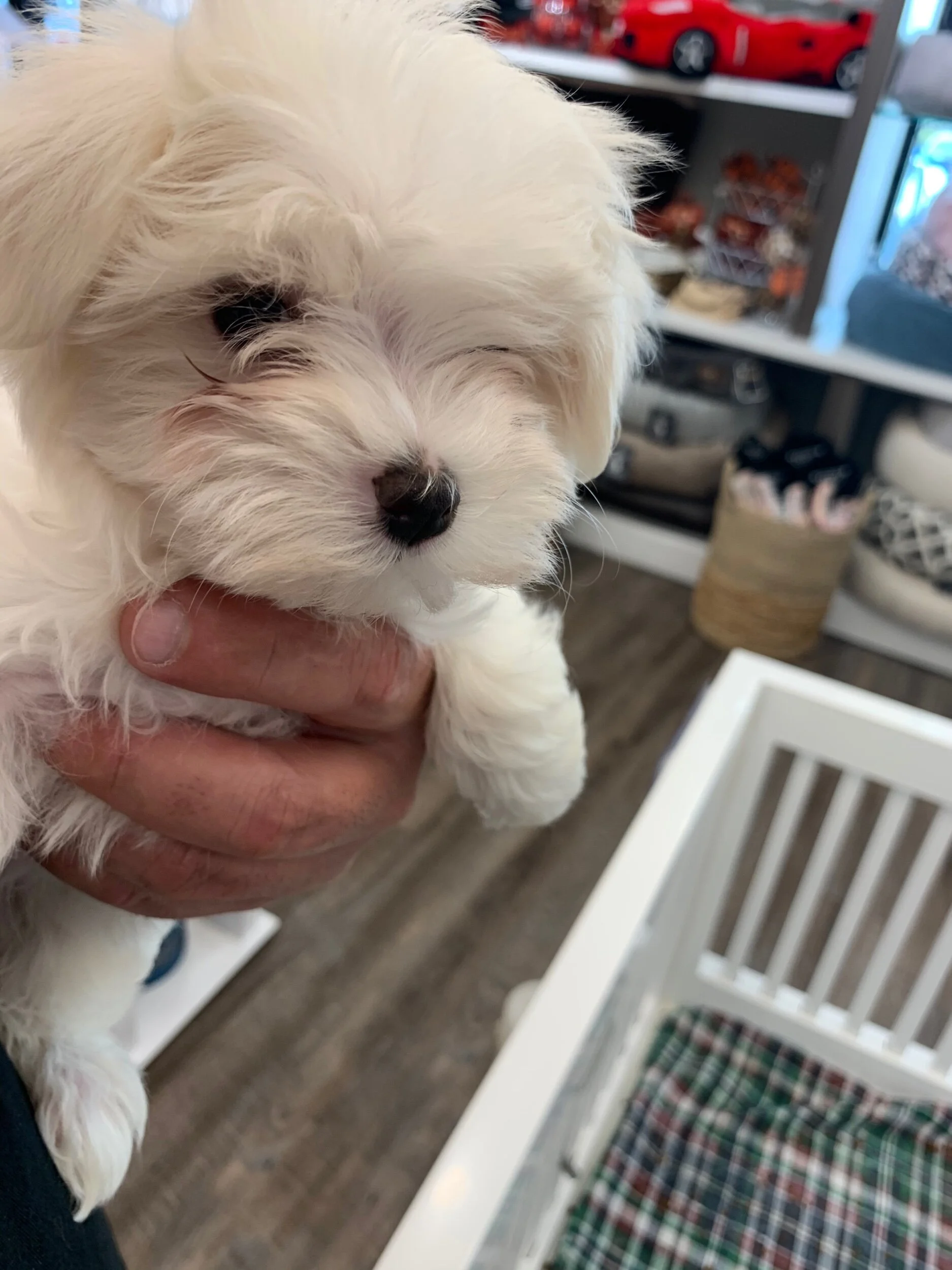 My Dad’s first pictures the day he bought her